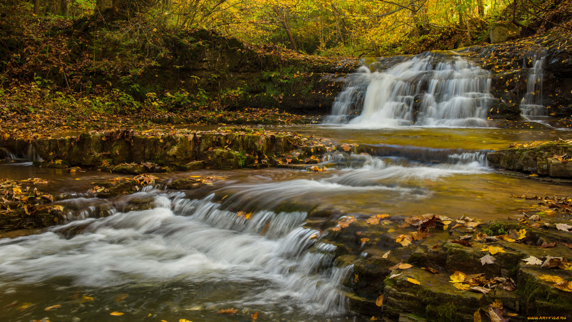 природа, водопады, лес, река, водопад