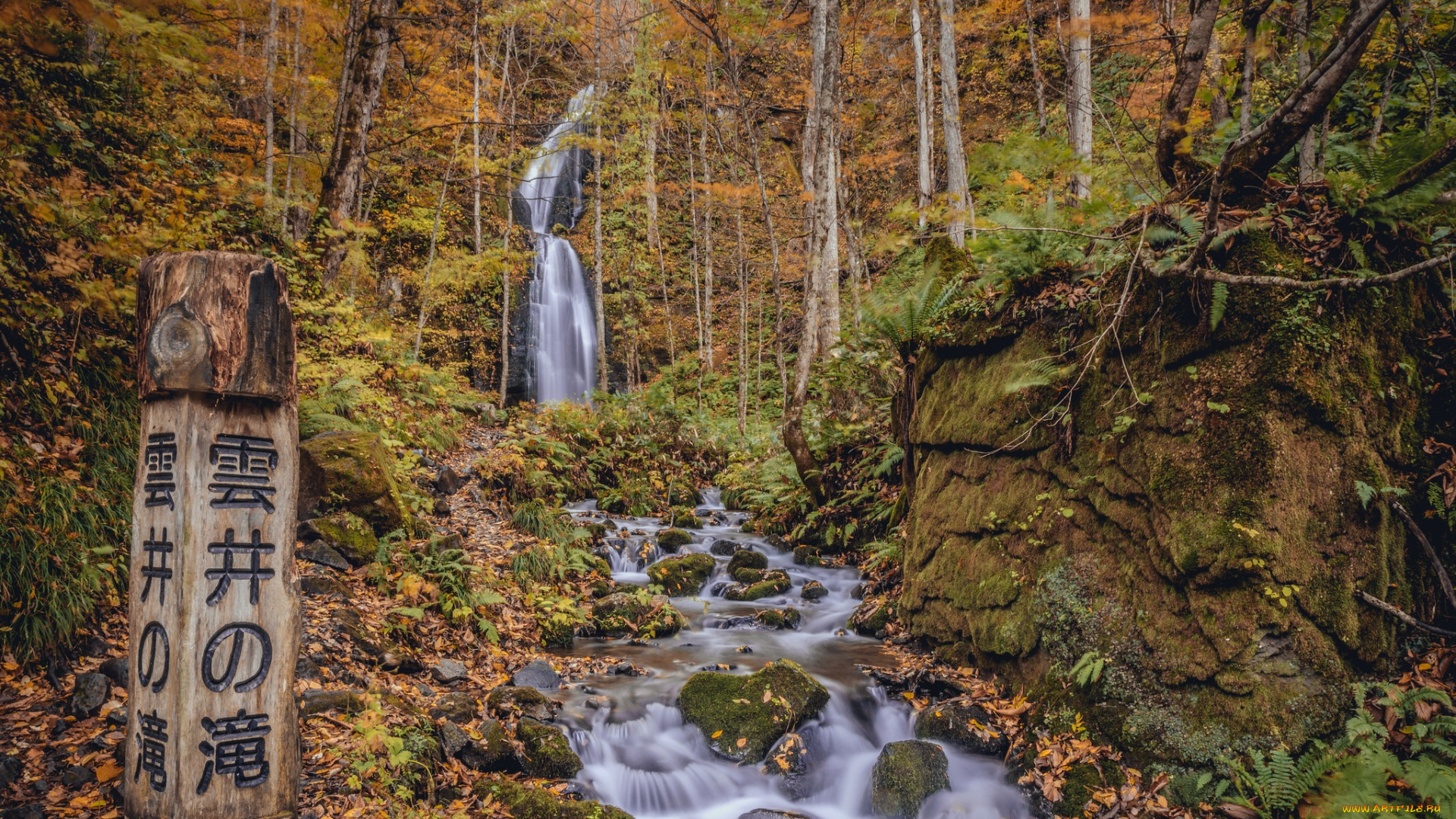 природа, водопады, лес, река, водопад