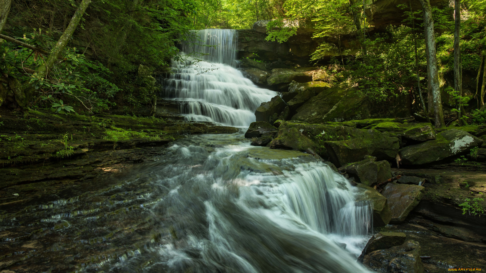 природа, водопады, лес, водопад, река