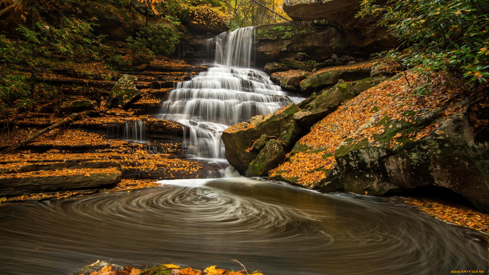 природа, водопады, водопад, лес, река