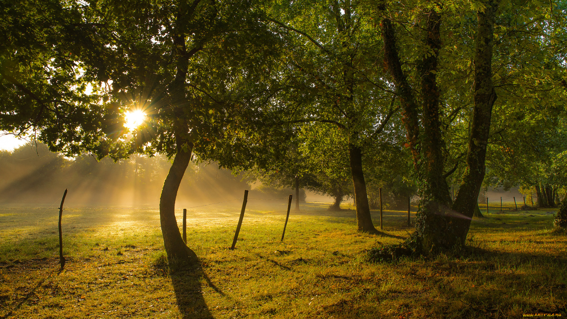 природа, восходы, закаты, рассвет
