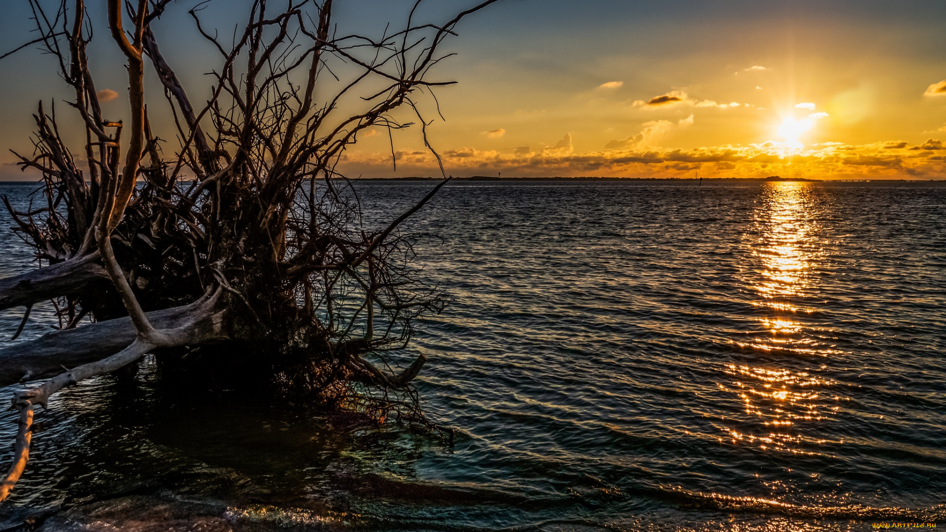 природа, восходы, закаты, рассвет