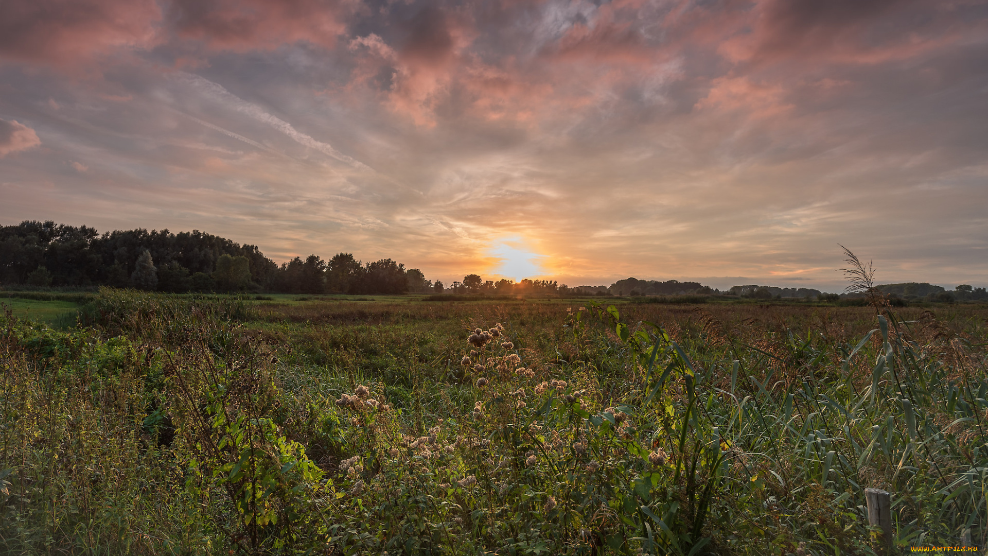 природа, восходы, закаты, рассвет