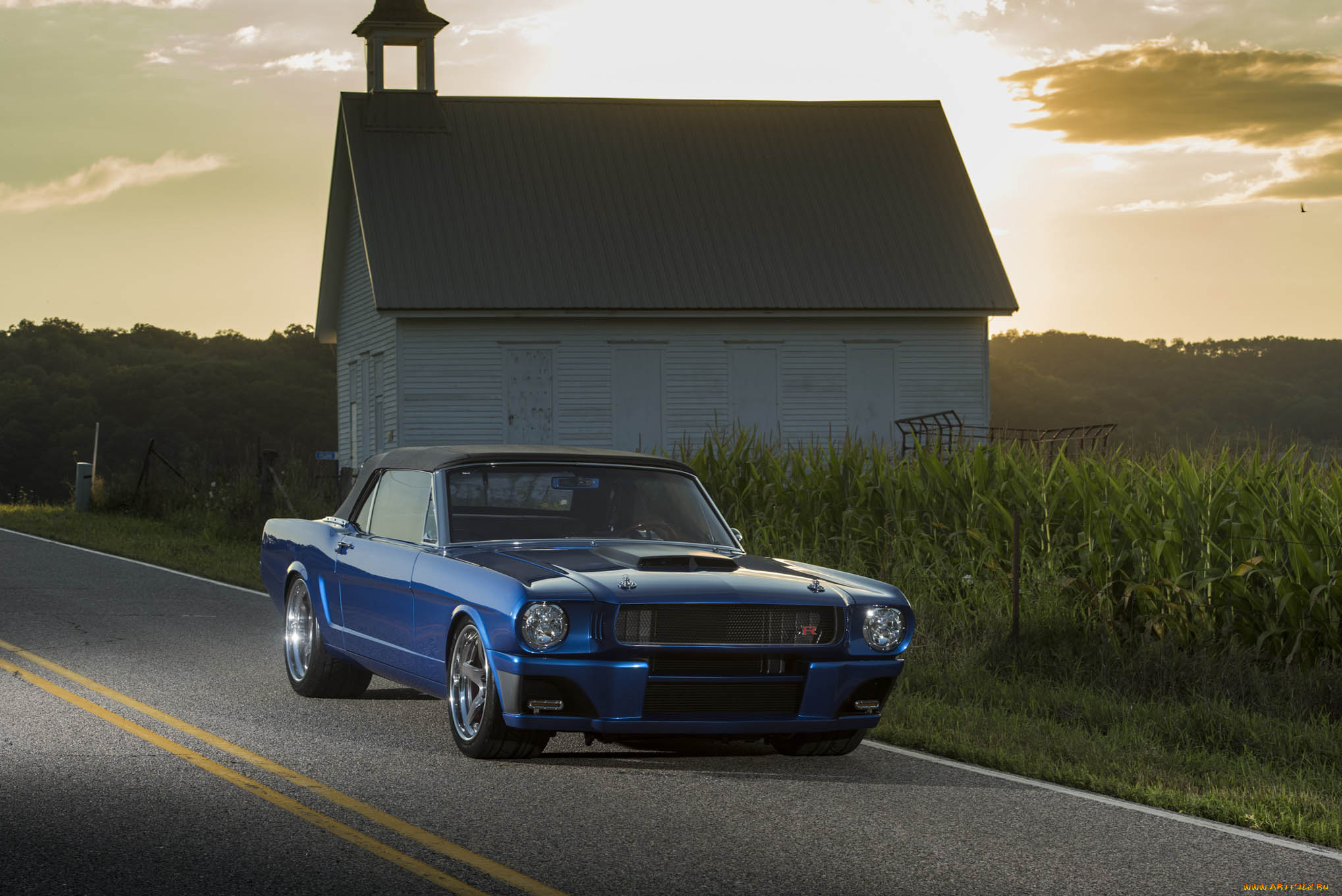 автомобили, mustang