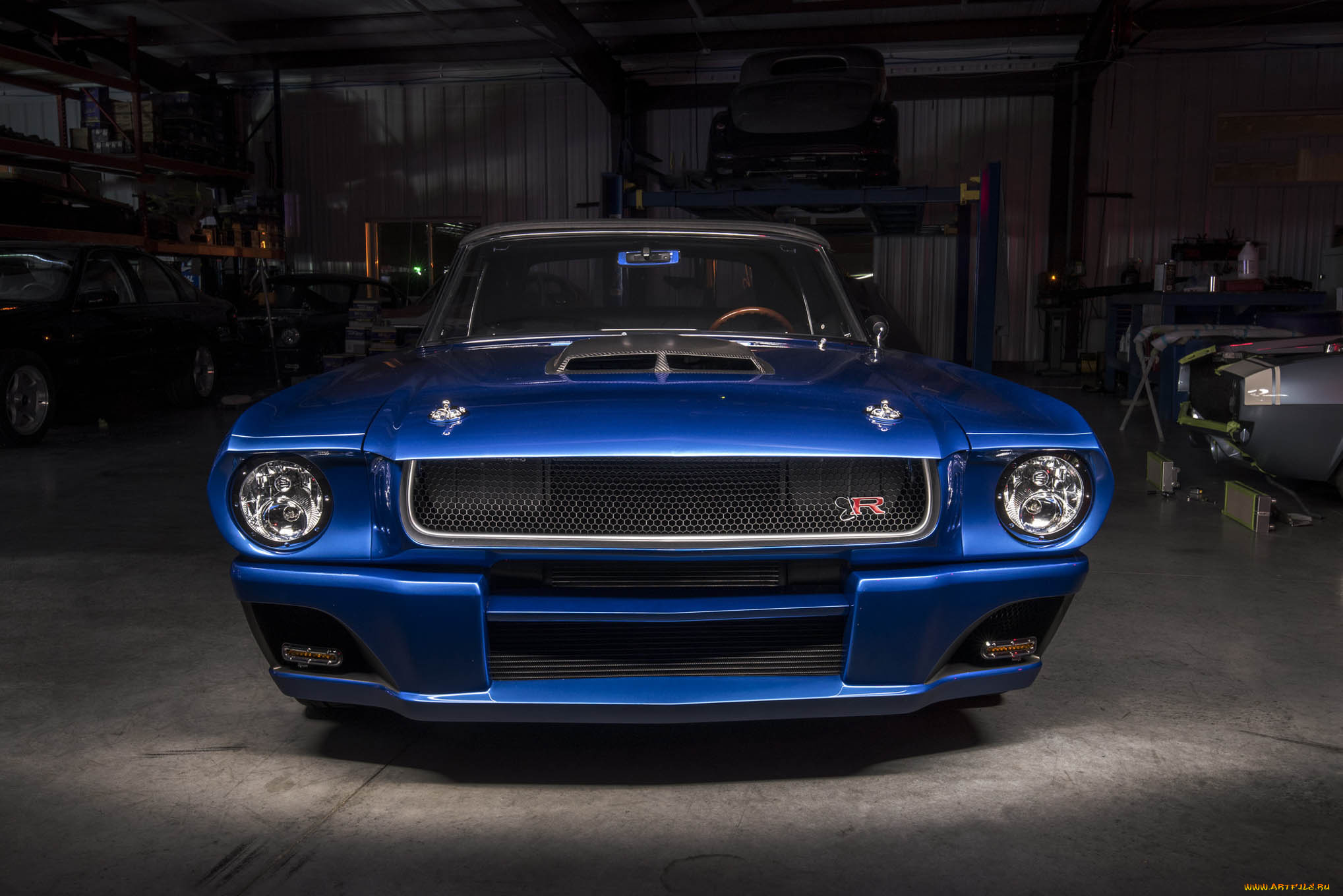 автомобили, mustang