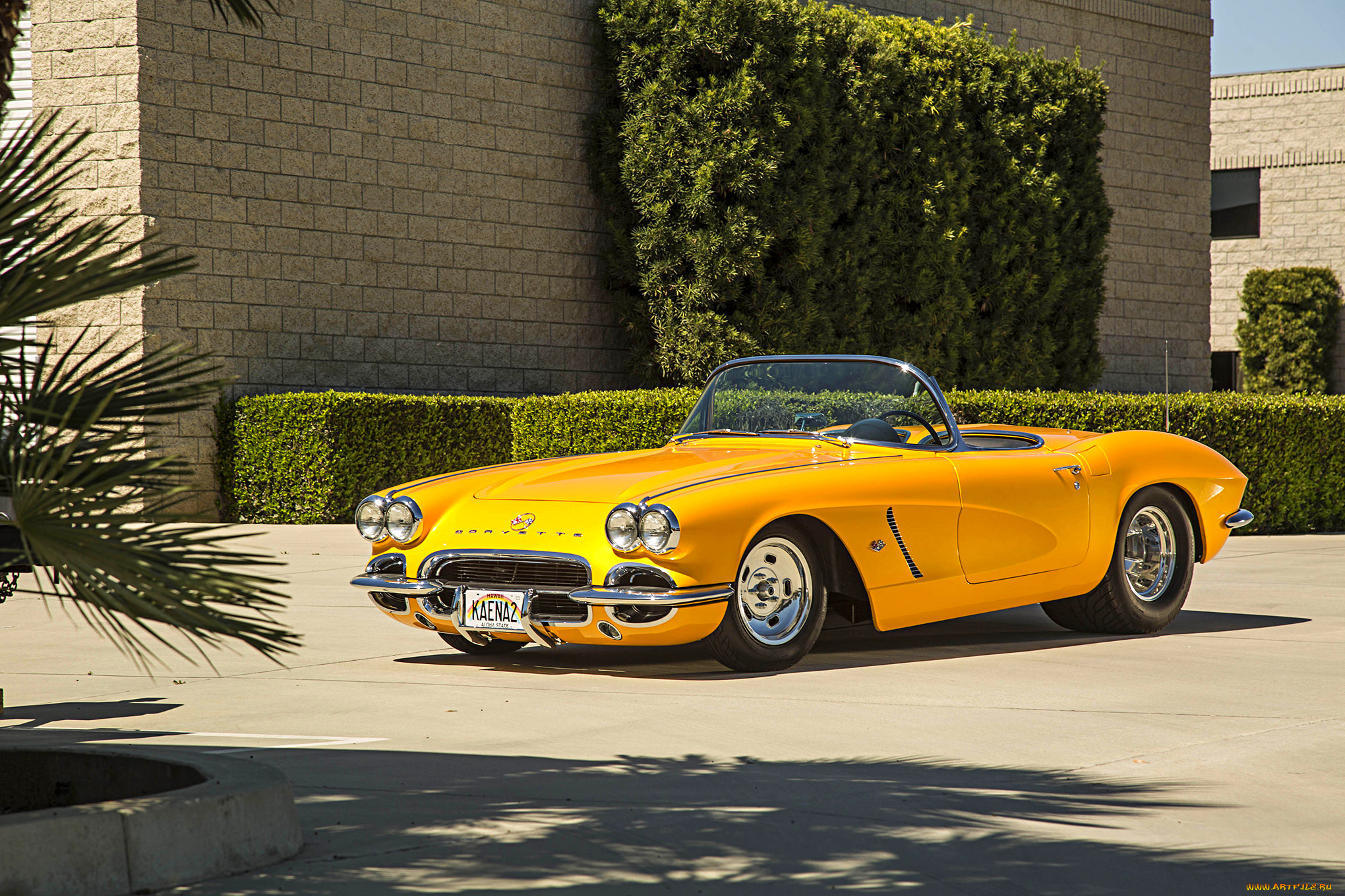 автомобили, corvette