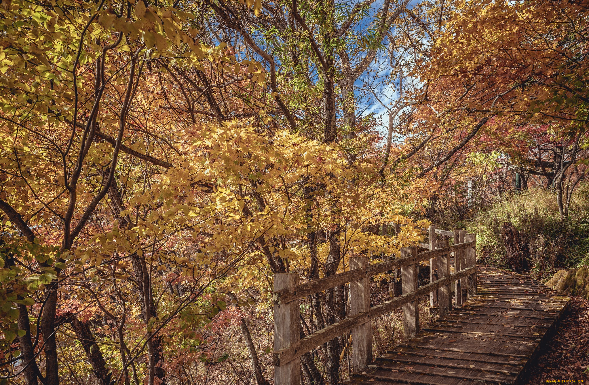 природа, дороги, тракт