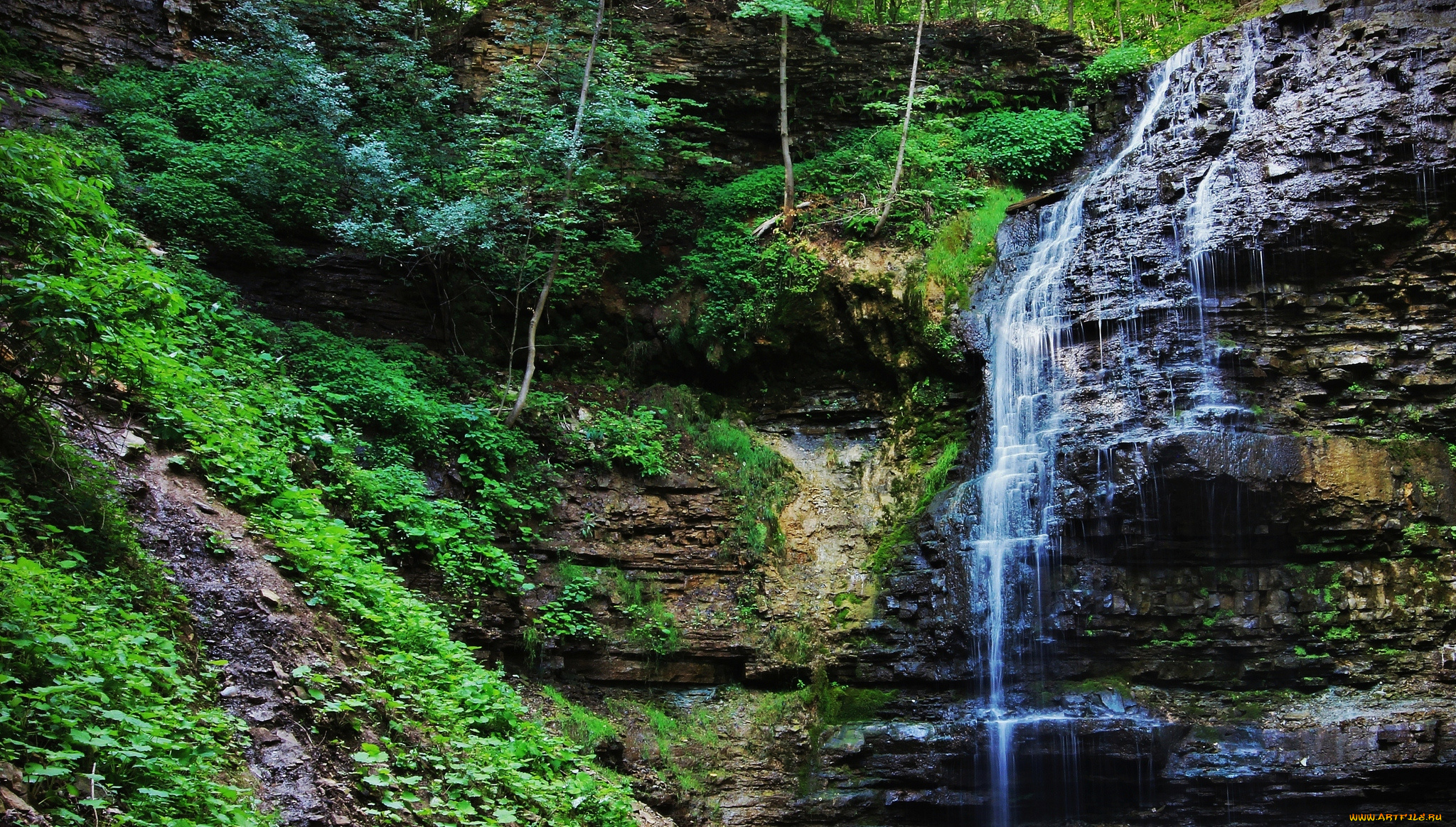 природа, водопады, лес, река, водопад