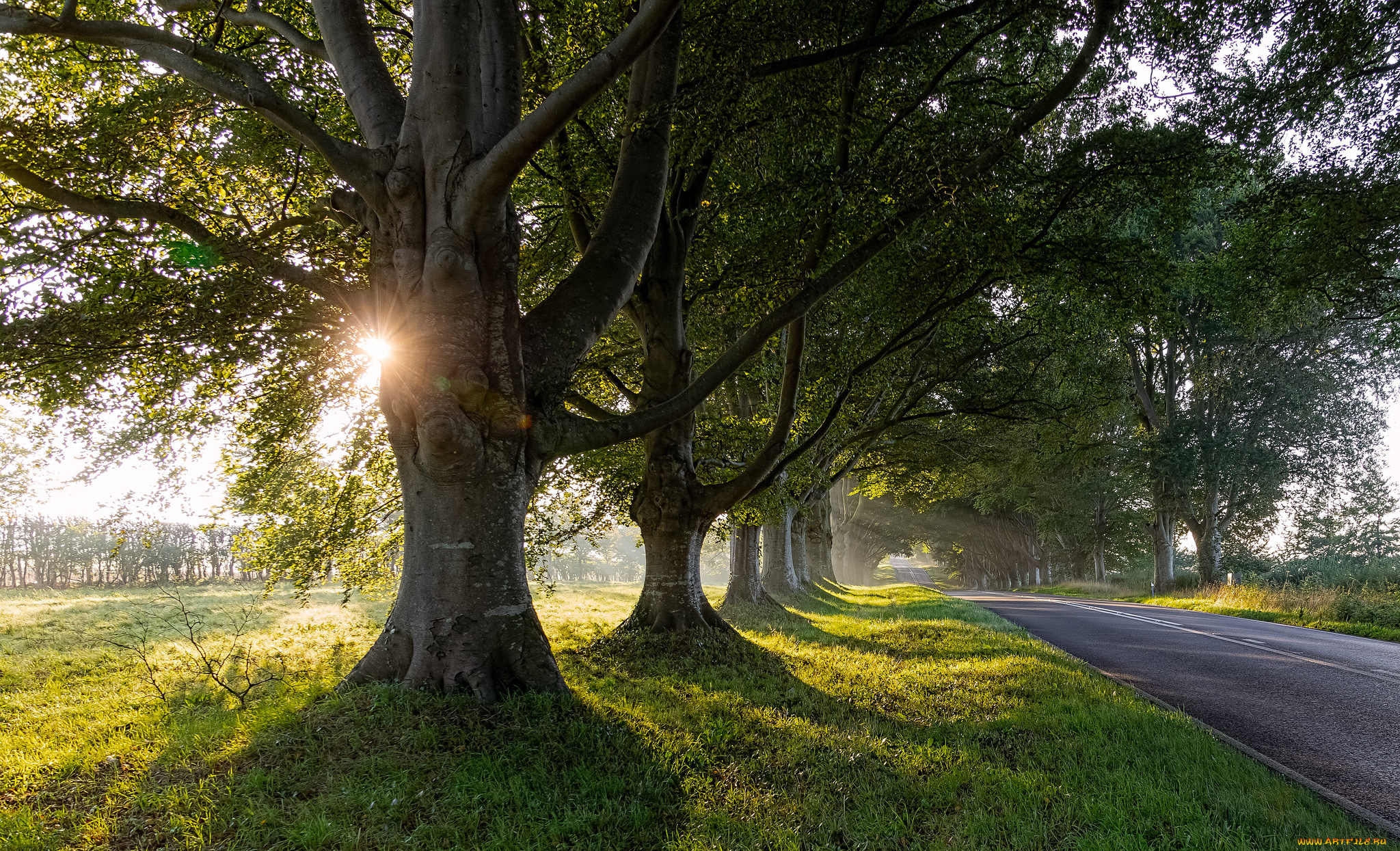 природа, дороги, тракт