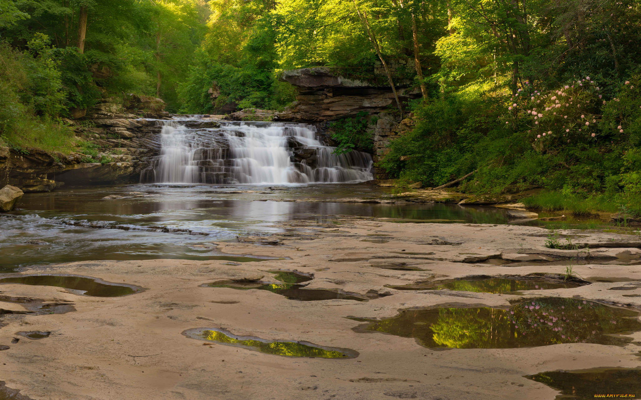 природа, водопады, лес, река, водопад
