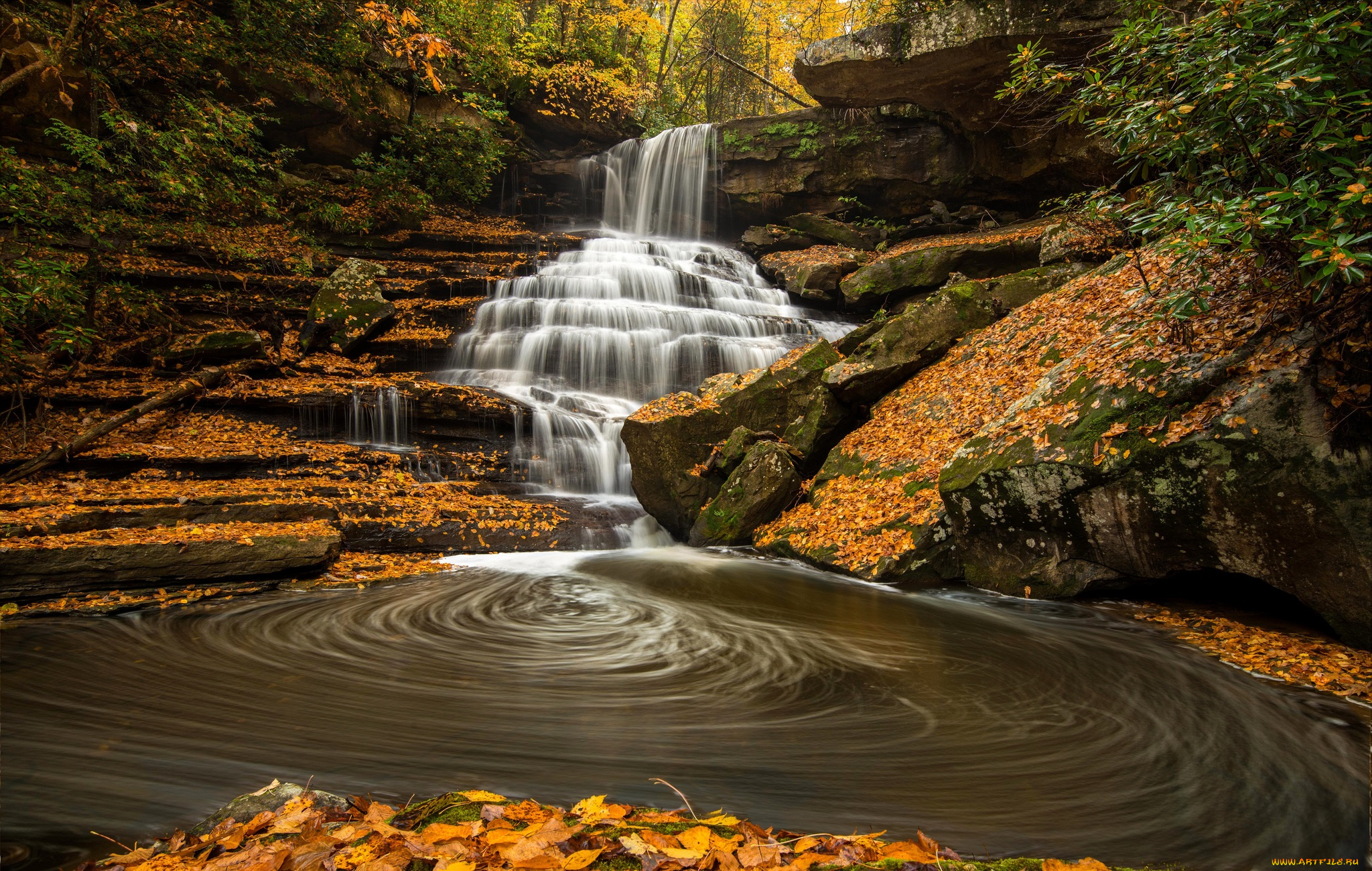 природа, водопады, водопад, лес, река