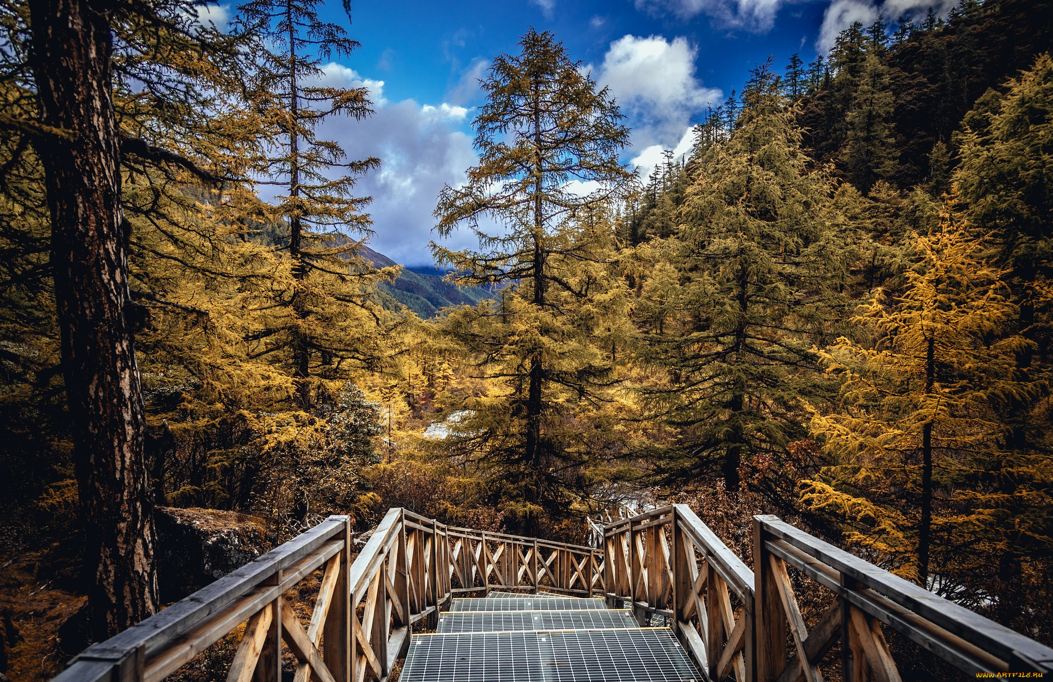 природа, дороги, тракт