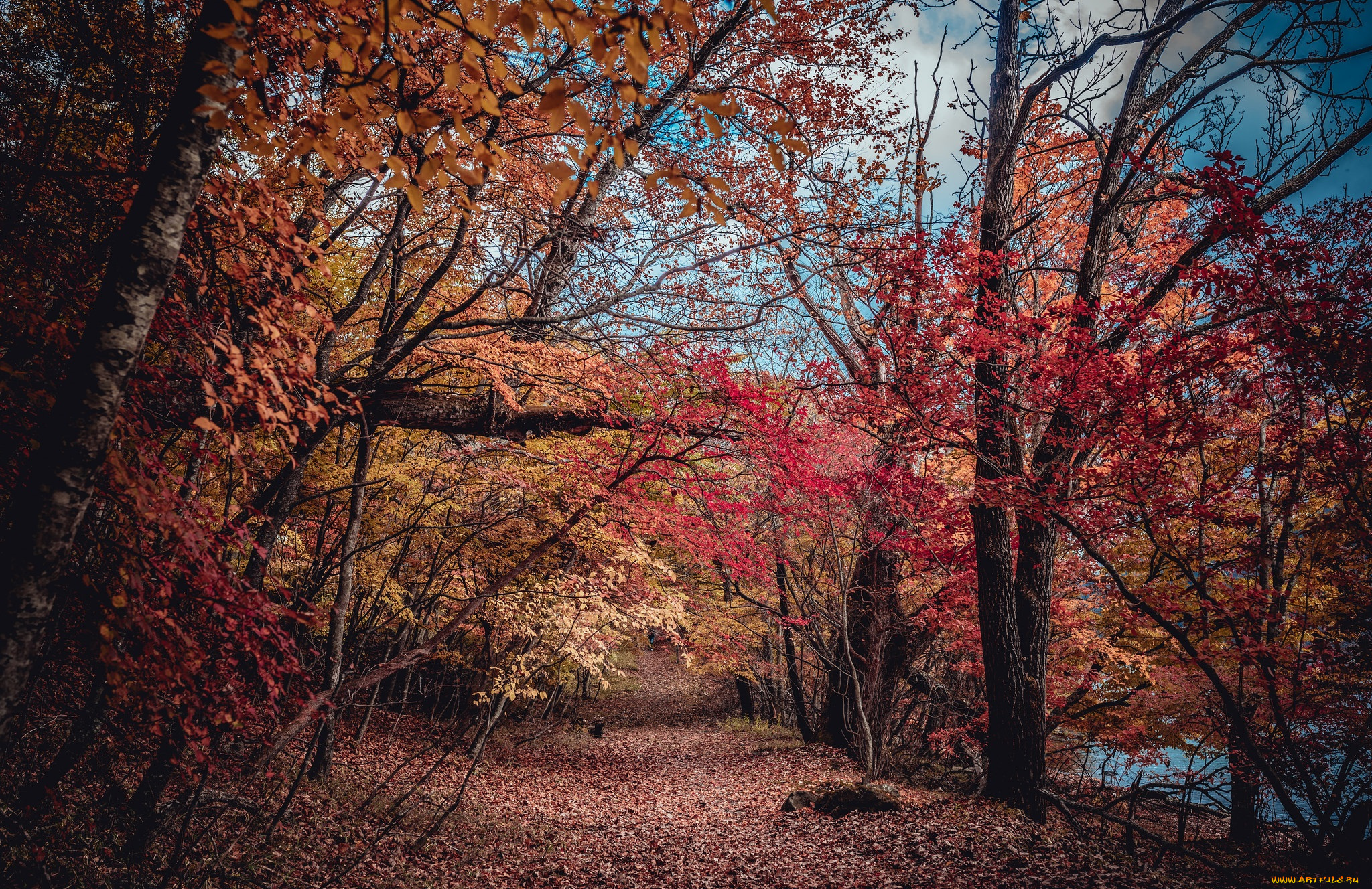 природа, дороги, тракт