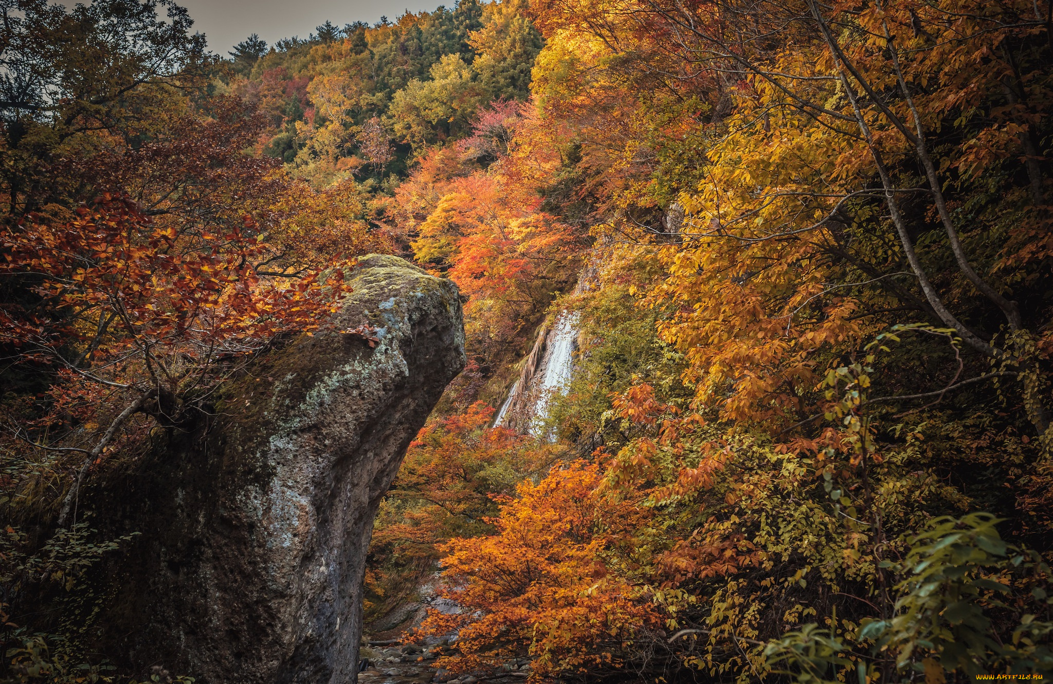 природа, водопады, лес, река, водопад
