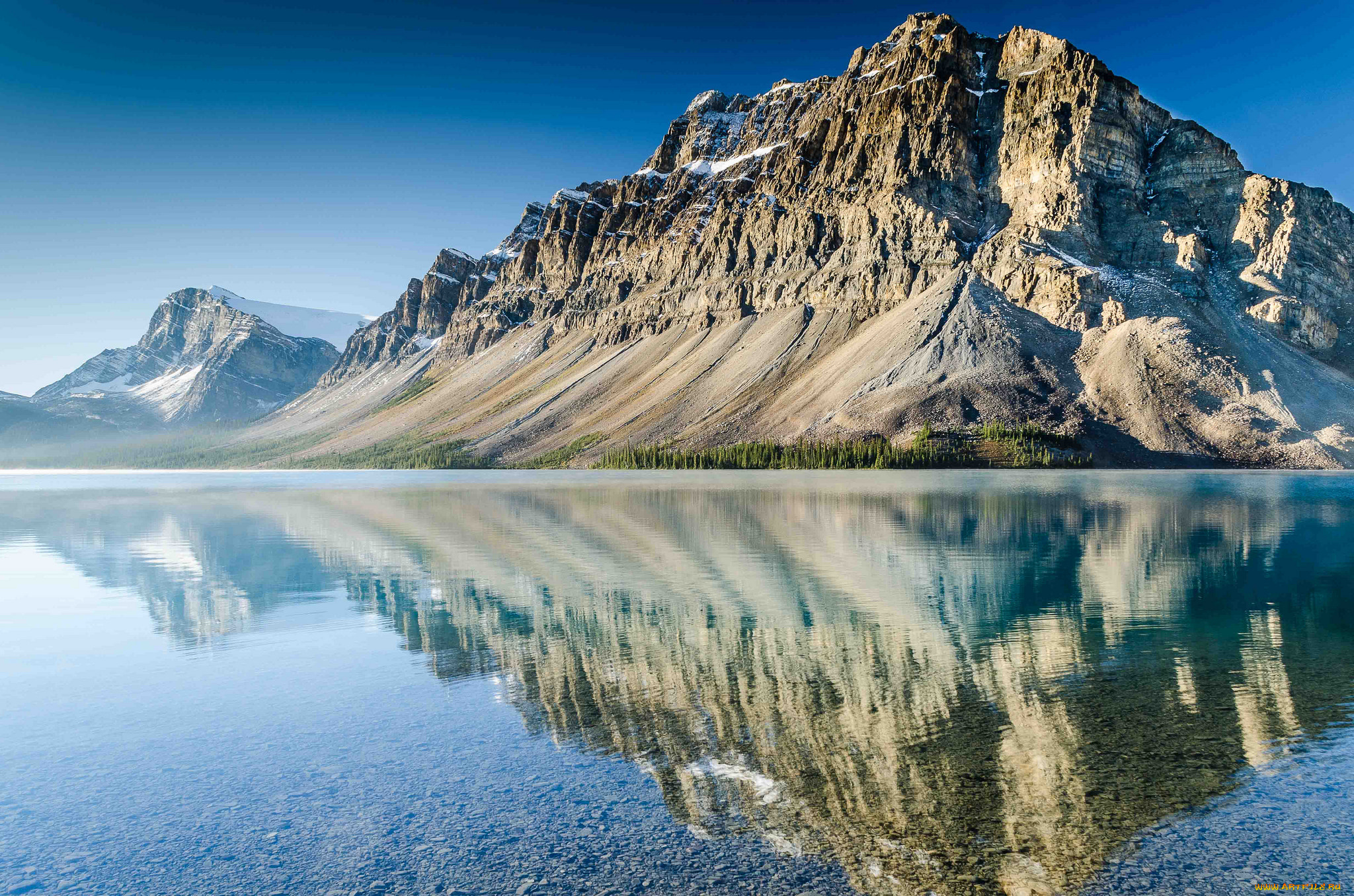 природа, реки, озера, река, лес