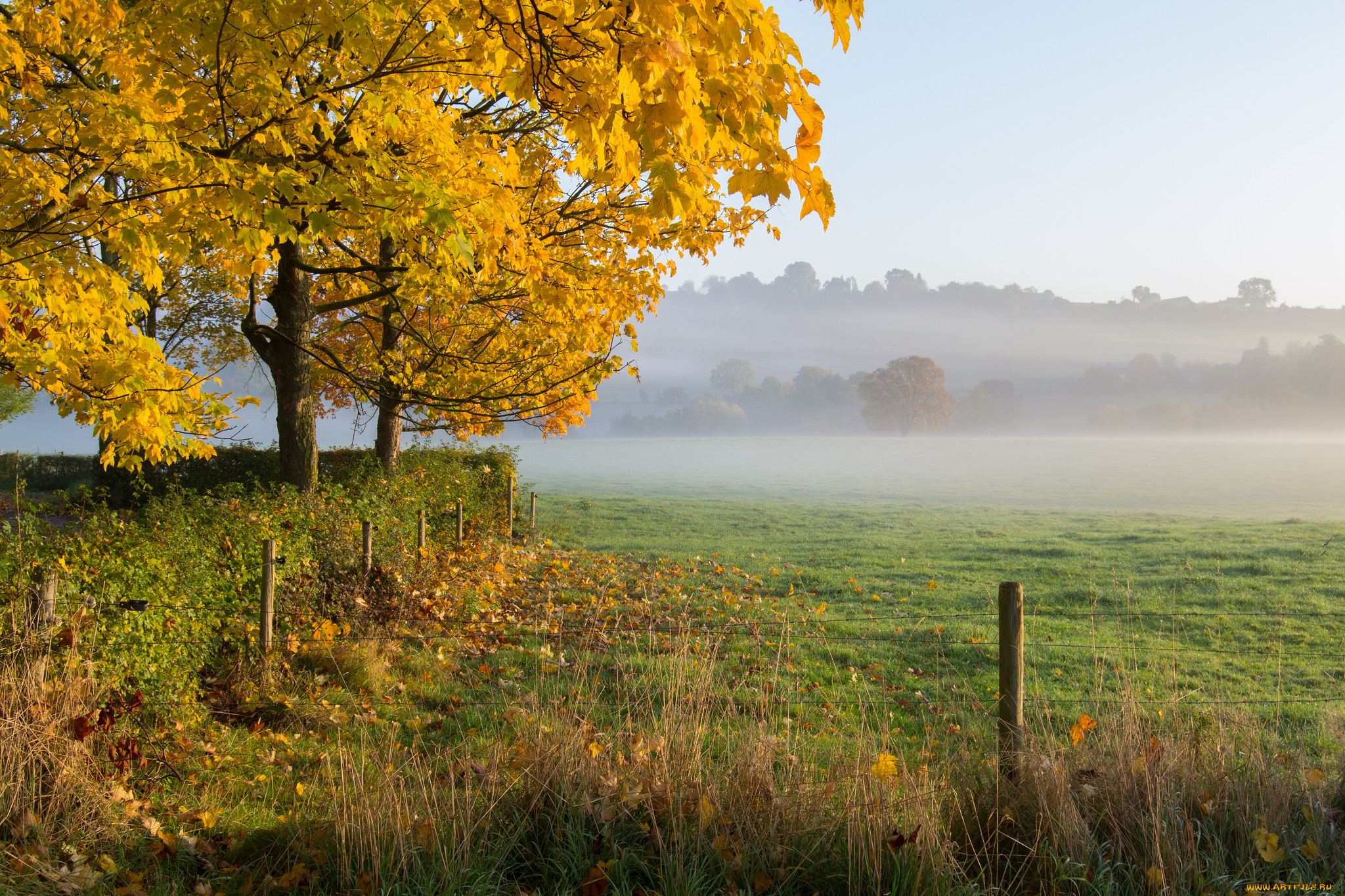 природа, пейзажи, простор