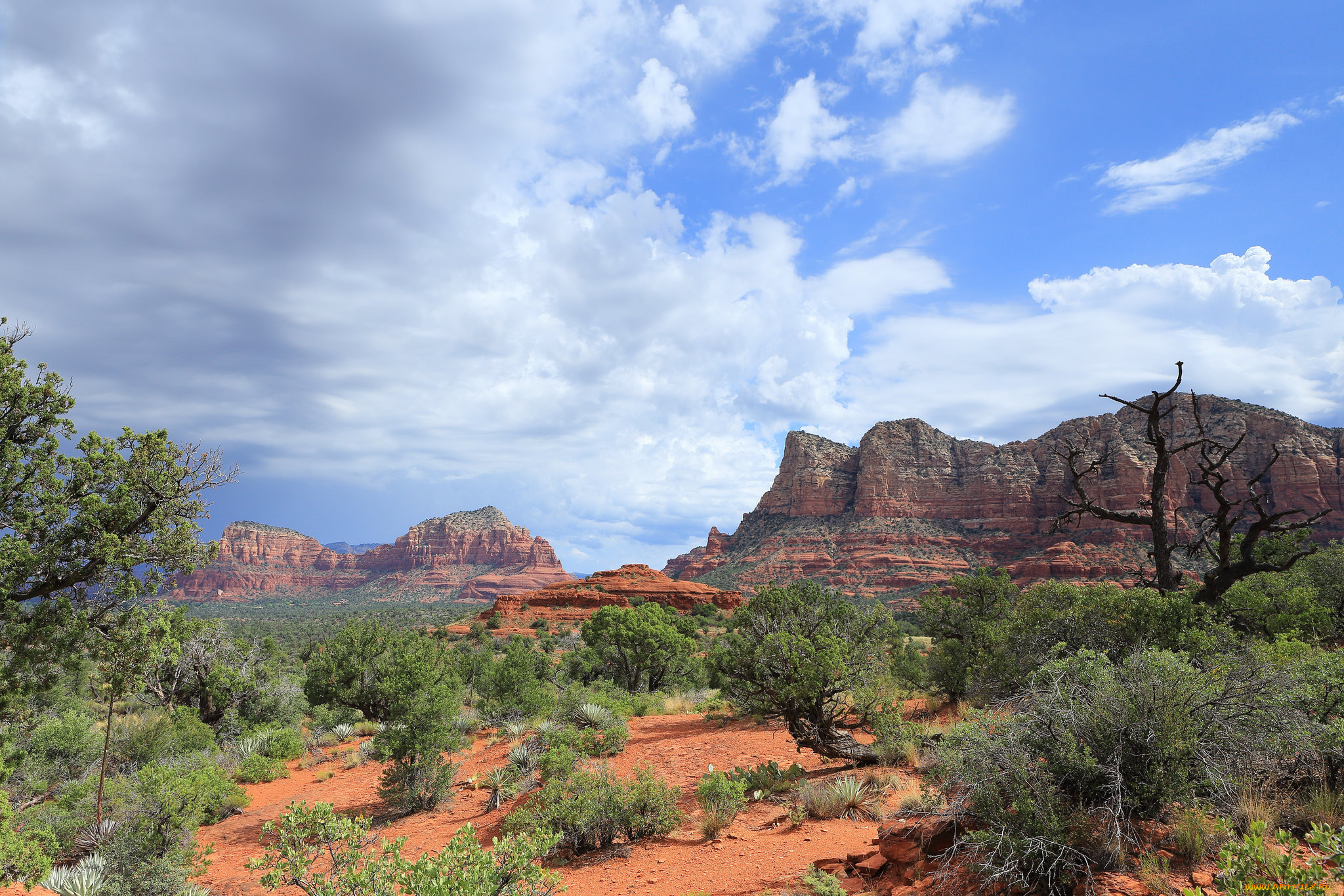 природа, пустыни, скалы