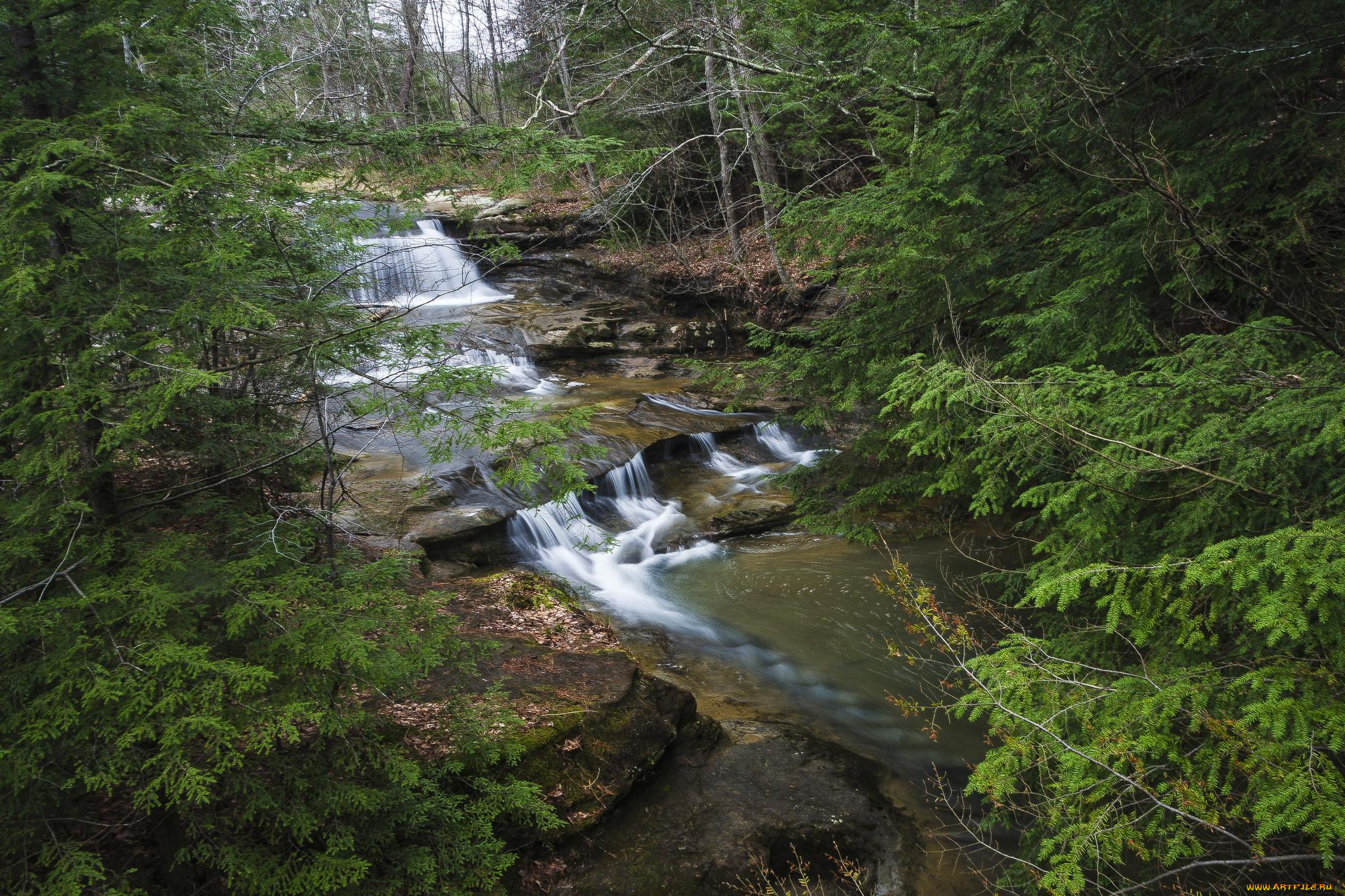 природа, реки, озера, лес, река