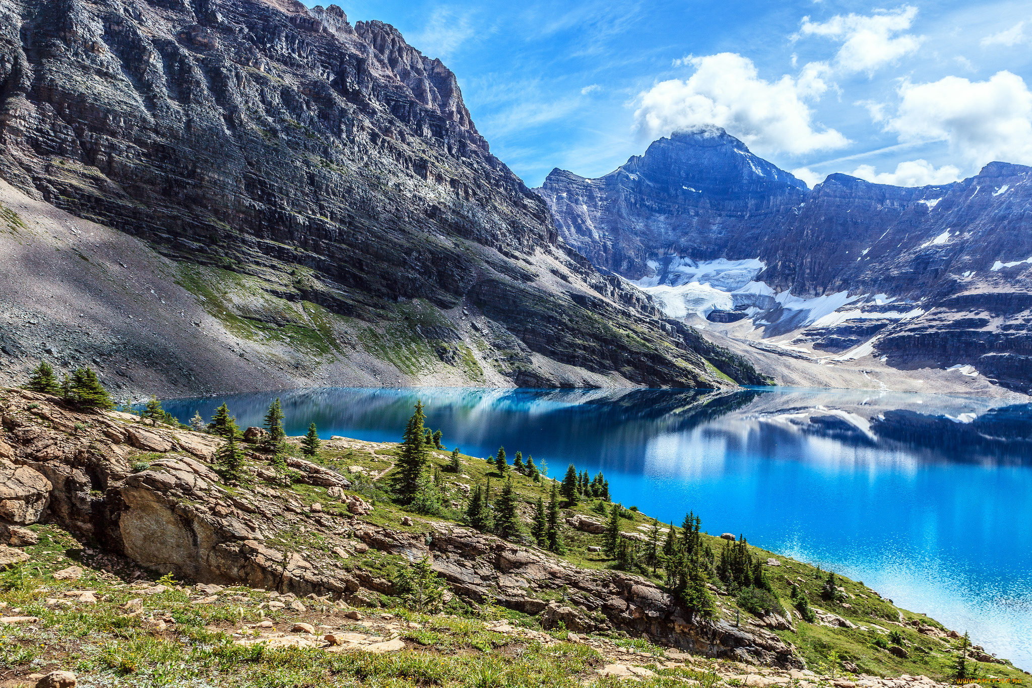 природа, реки, озера, река, лес