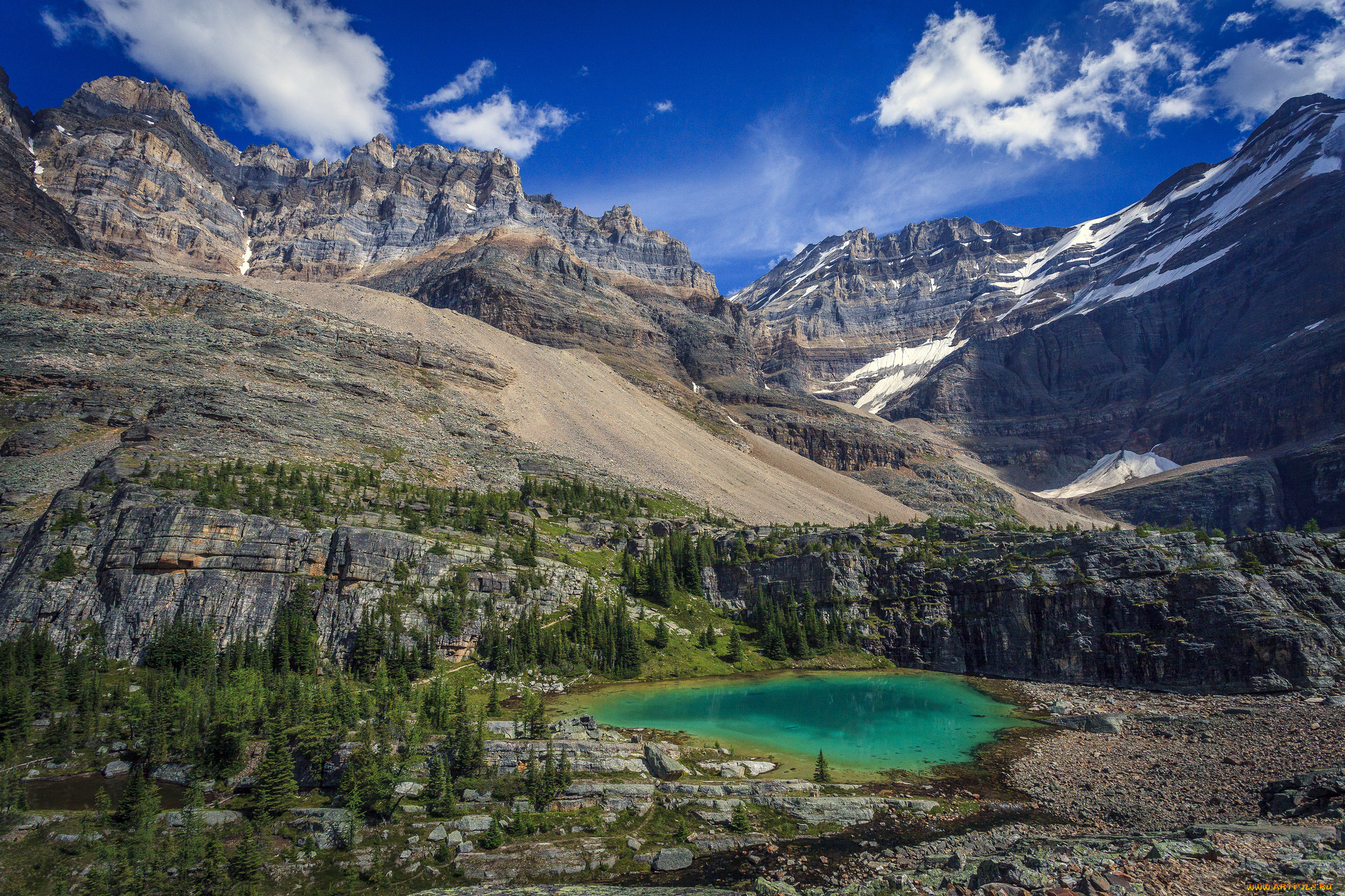 природа, реки, озера, река, лес