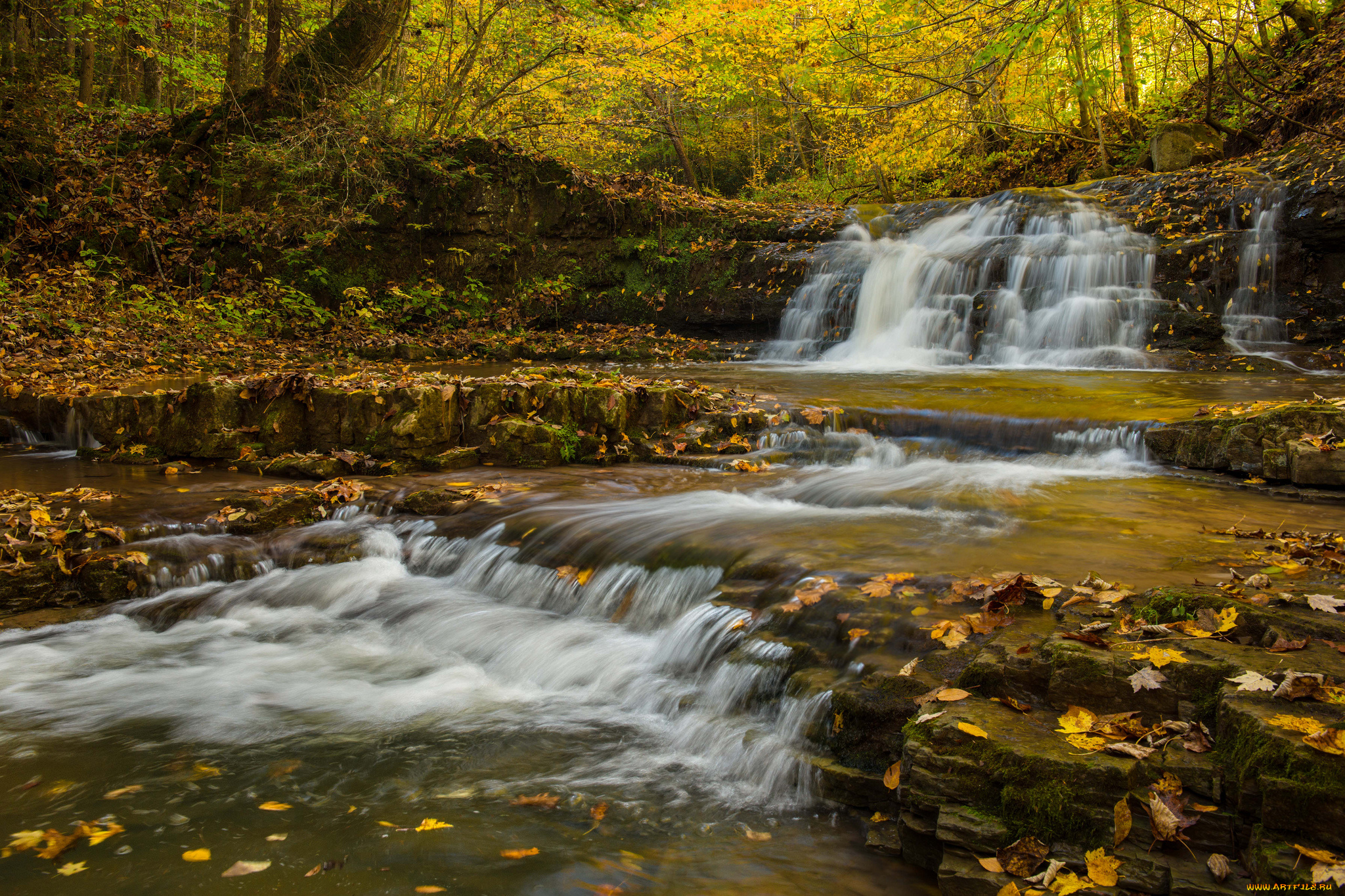 природа, водопады, лес, река, водопад