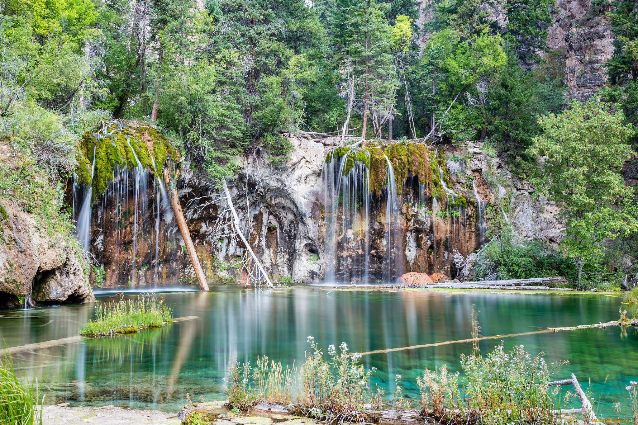 природа, водопады, лес, река, водопад