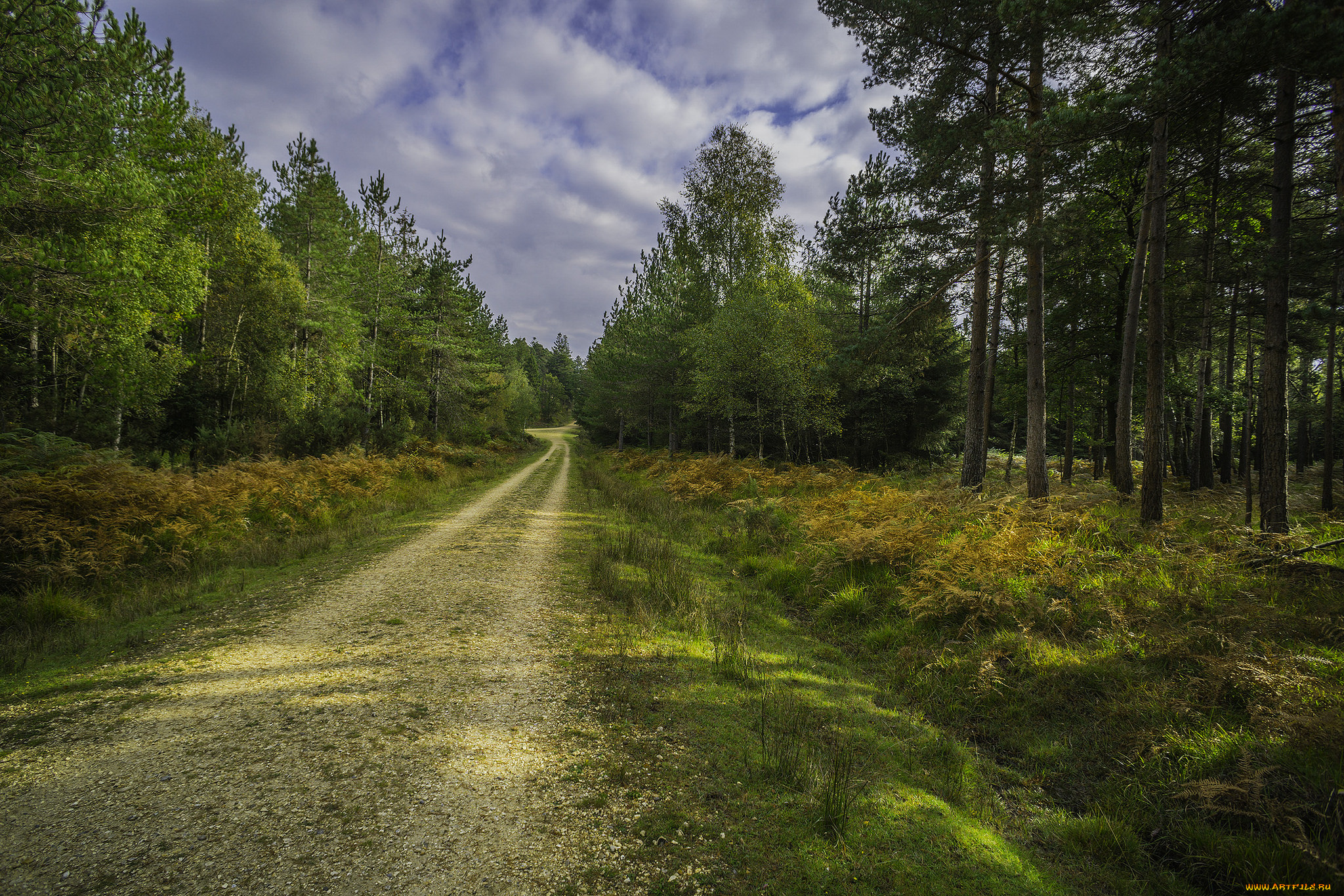 природа, дороги, тракт