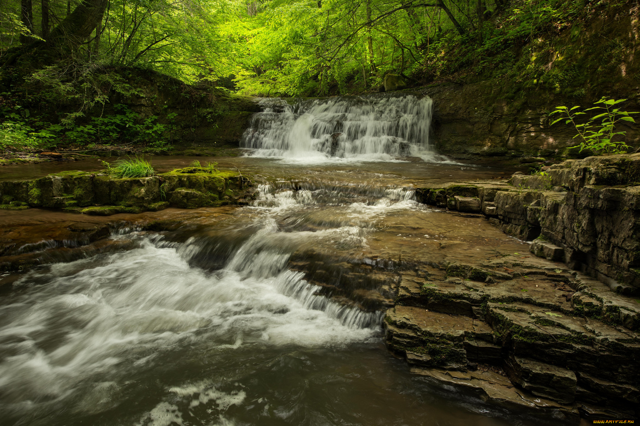 природа, водопады, лес, река, водопад