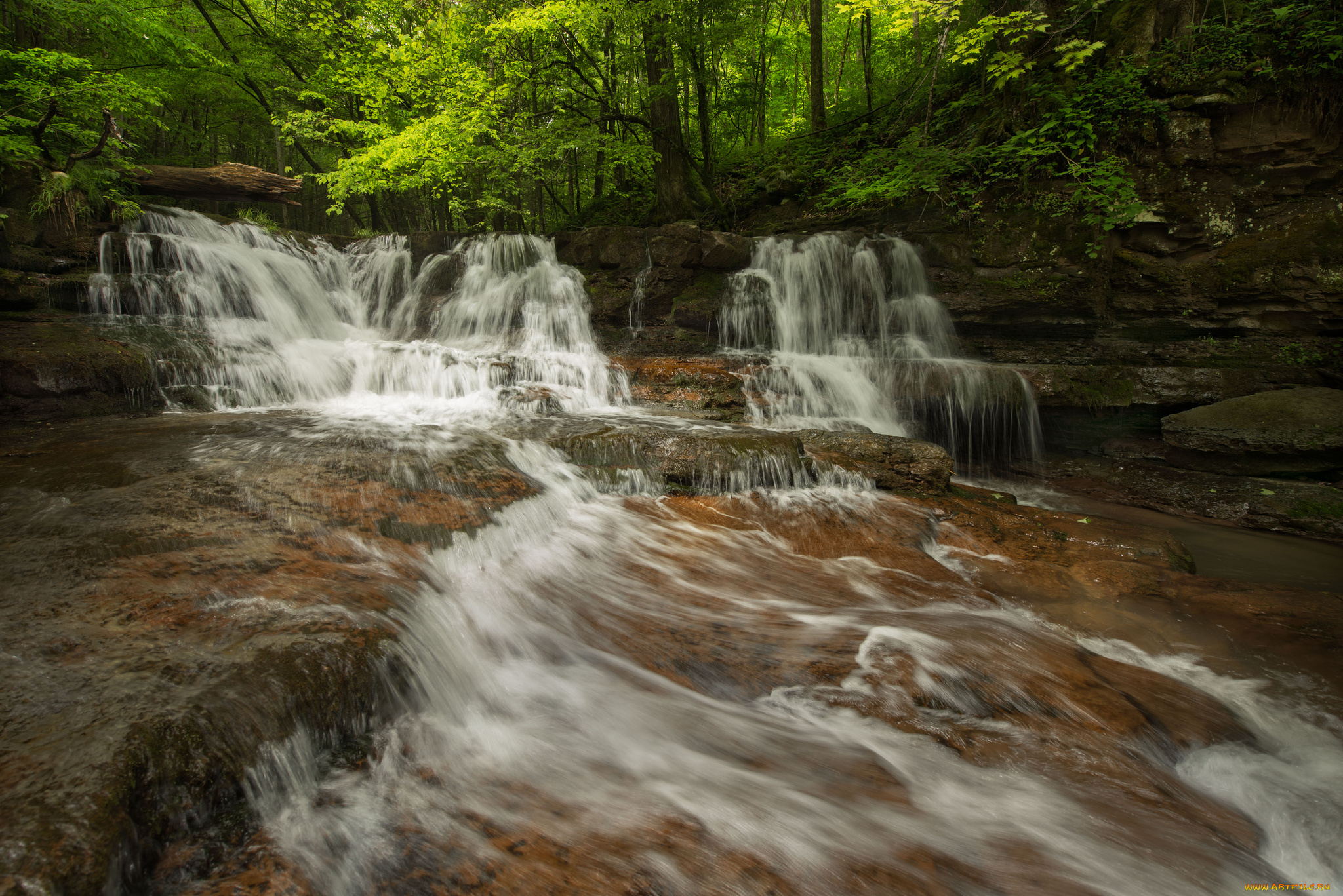 природа, водопады, лес, река, водопад