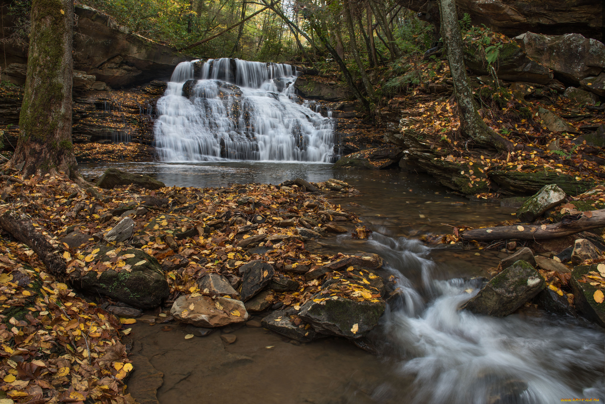 природа, водопады, лес, река, водопад