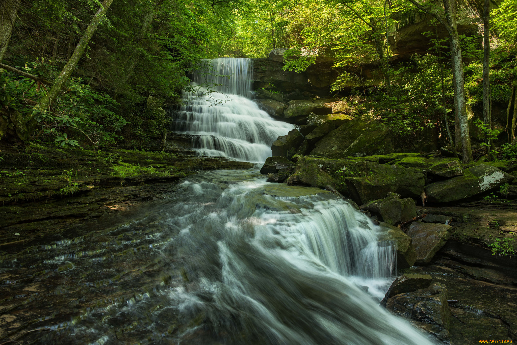 природа, водопады, лес, водопад, река