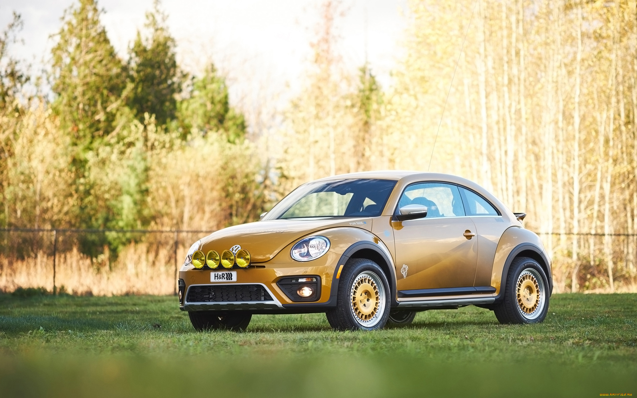 автомобили, volkswagen, vw