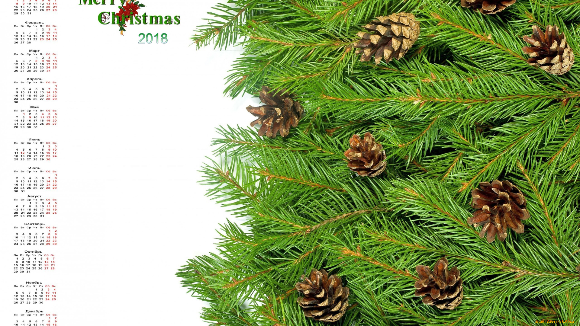 календари, праздники, , салюты, шишка, ветки, 2018