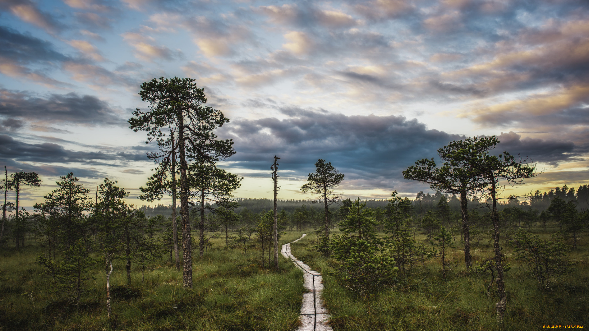 природа, дороги, простор