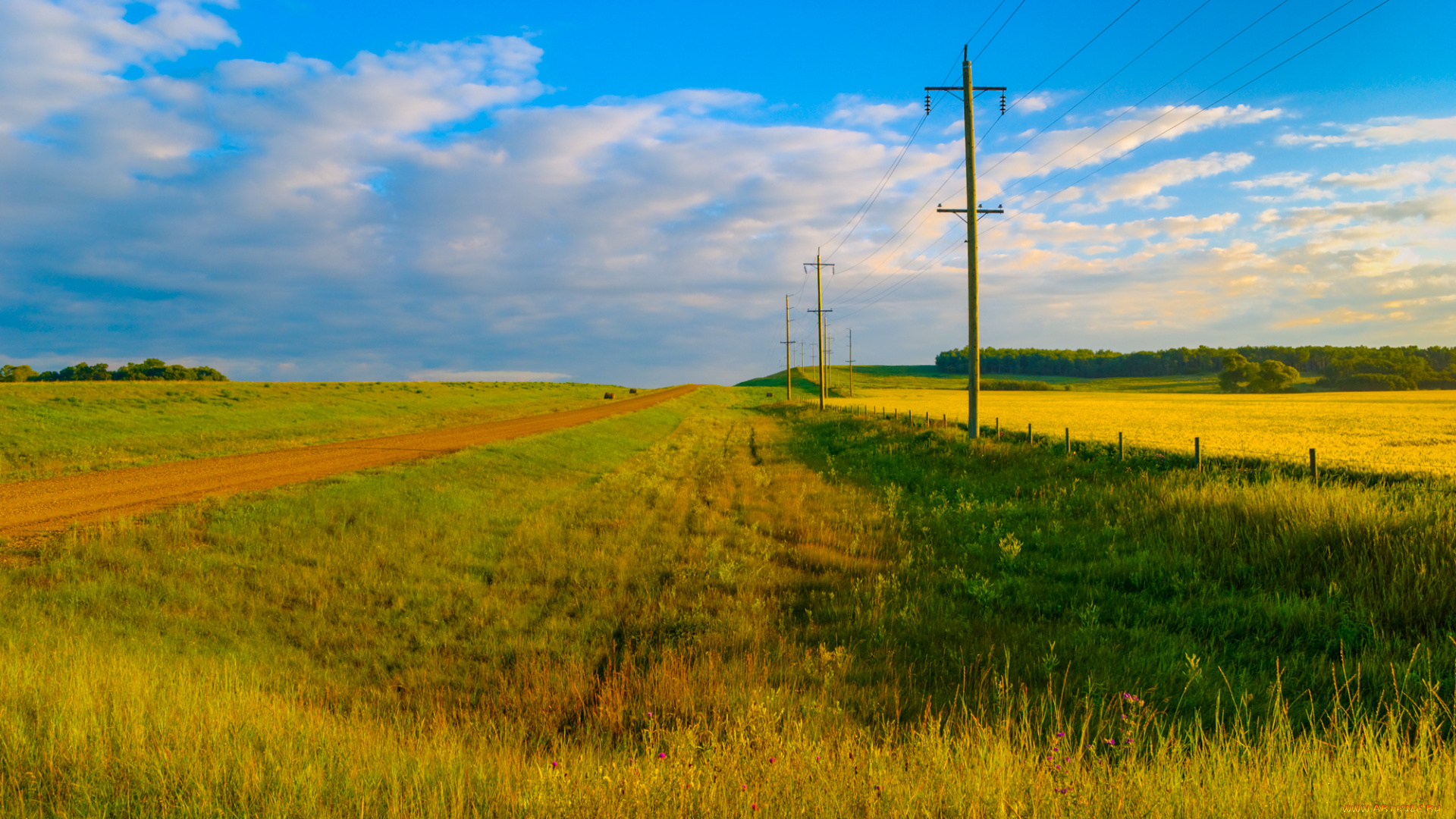 природа, пейзажи, простор