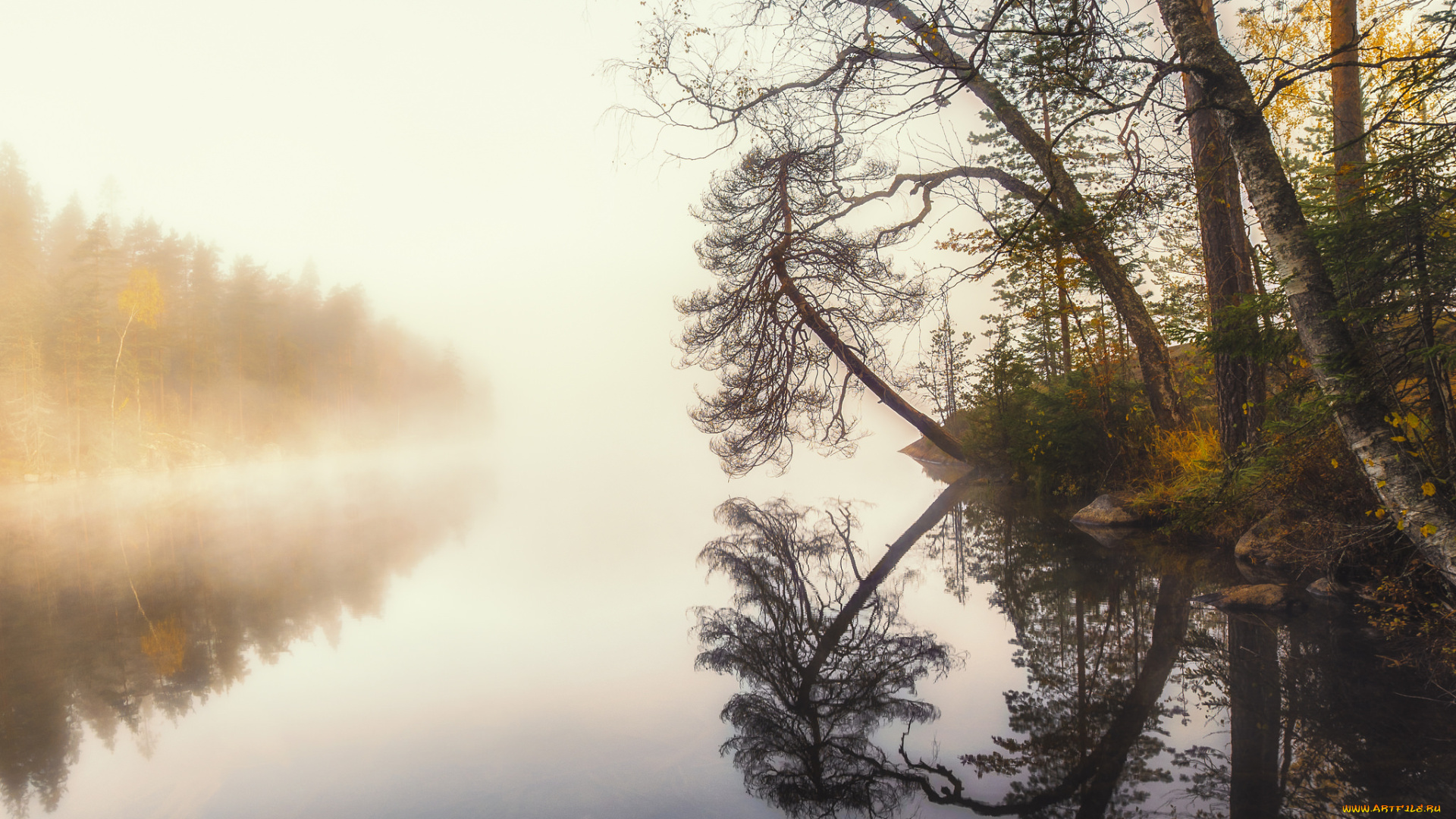 природа, реки, озера, простор