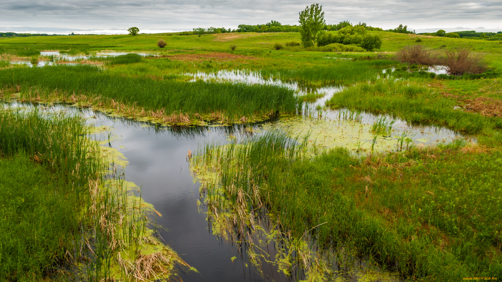природа, реки, озера, простор