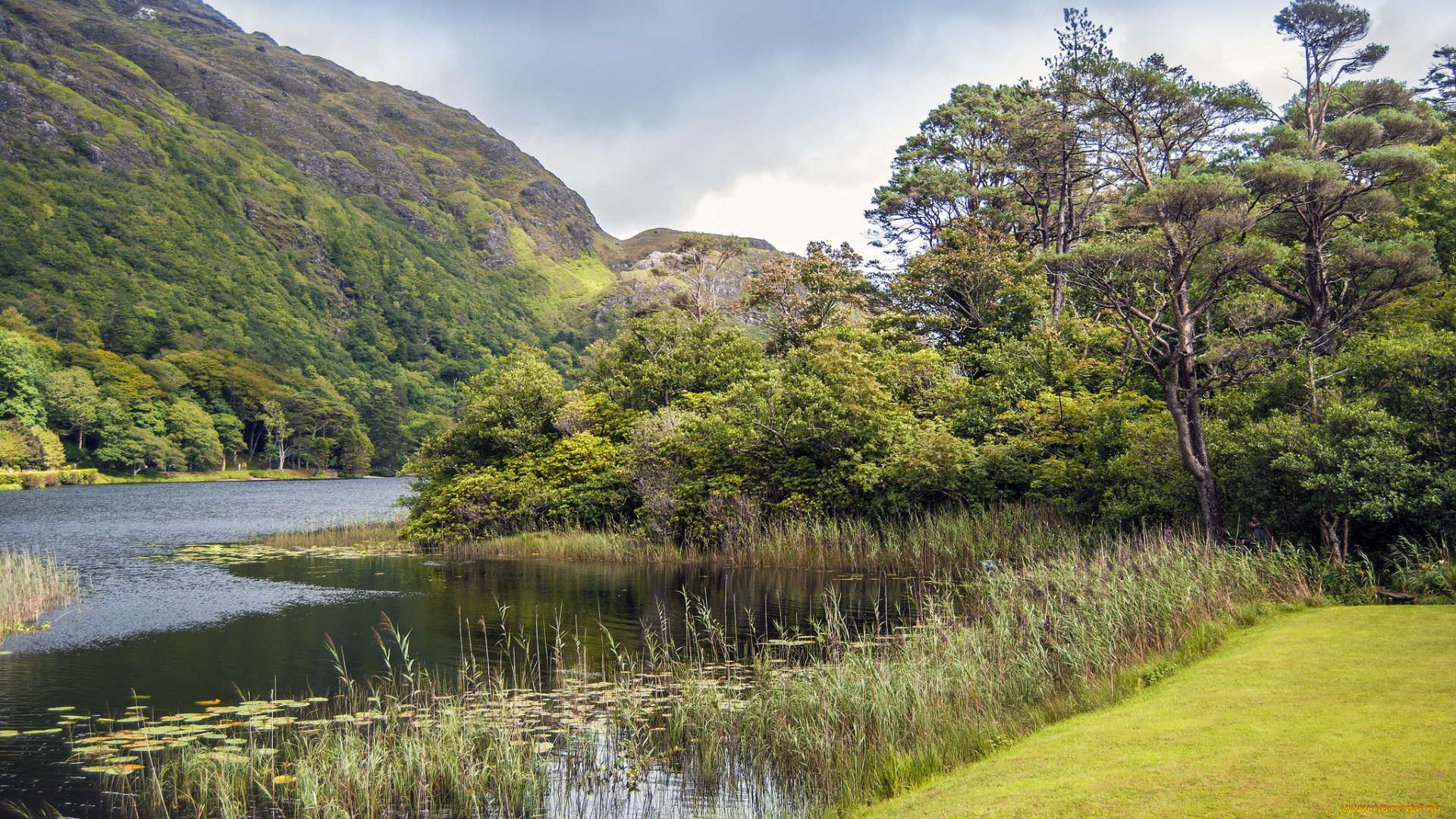 природа, реки, озера, простор