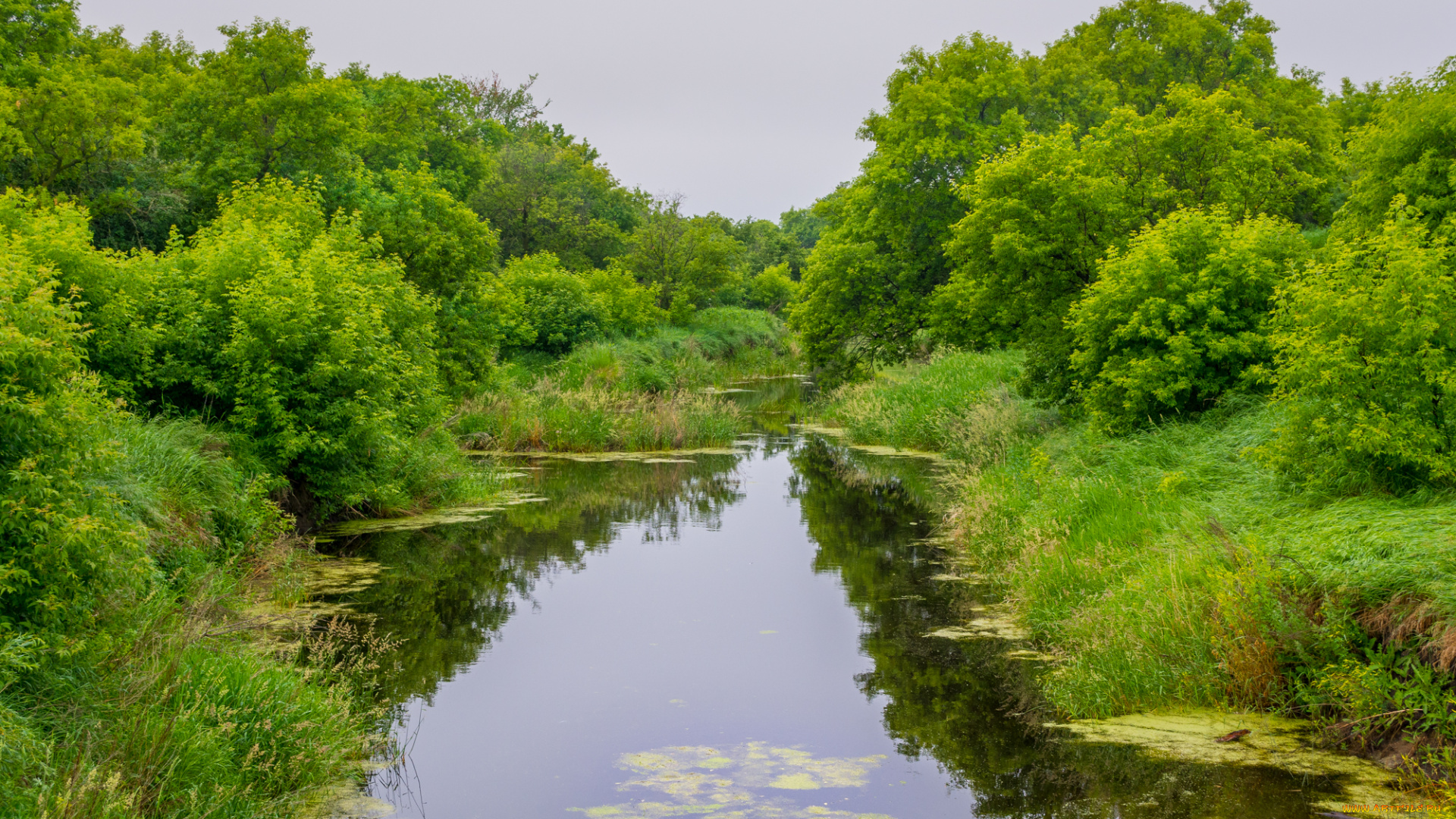природа, реки, озера, простор