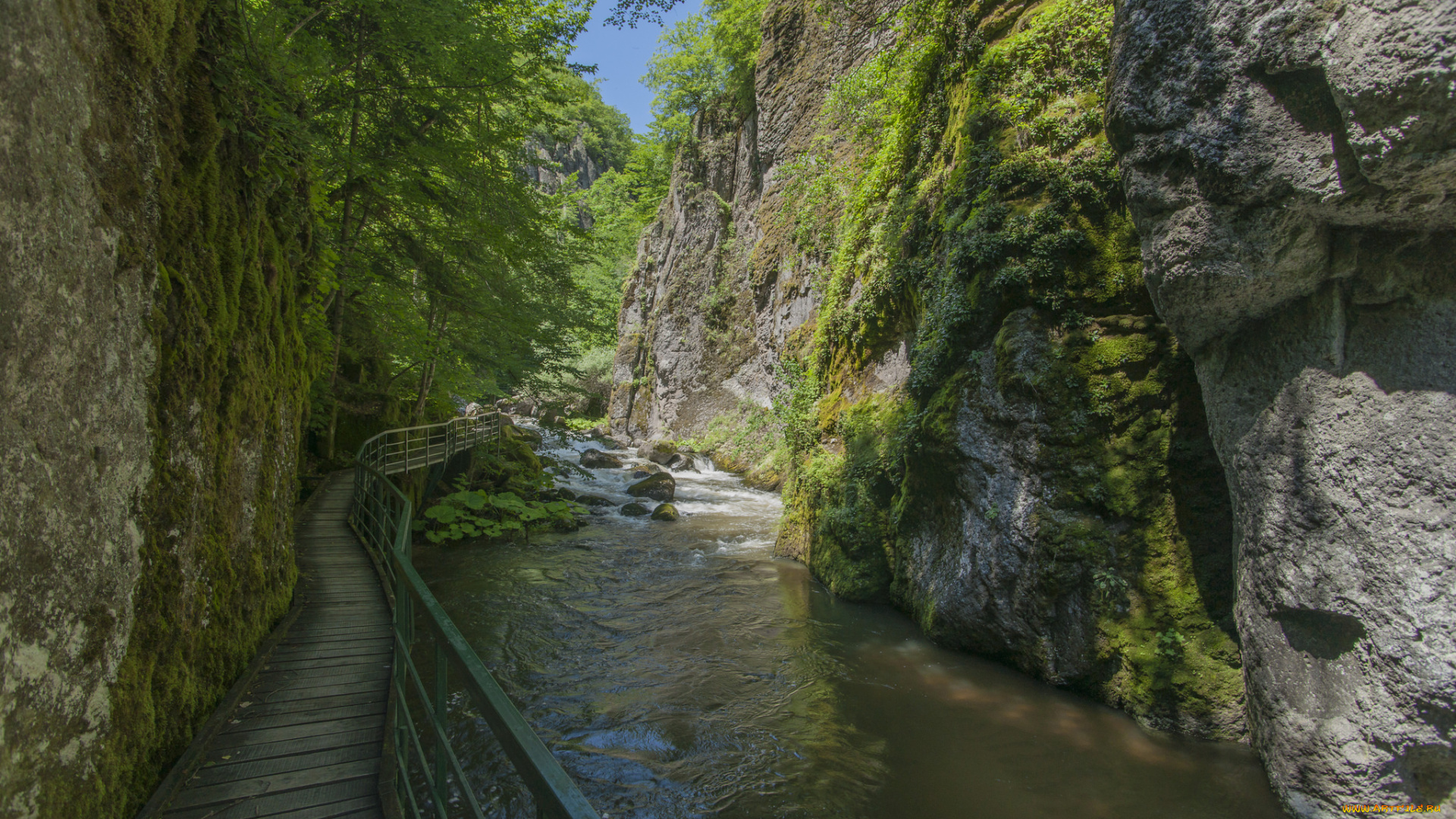 природа, реки, озера, простор