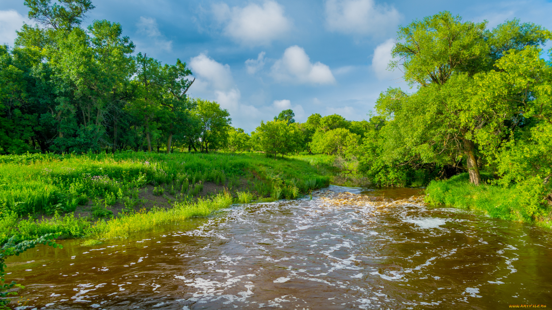 природа, реки, озера, простор