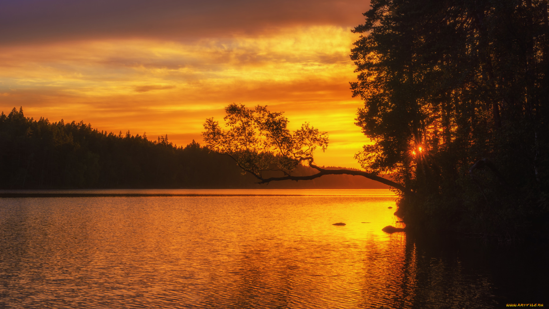 природа, восходы, закаты, простор