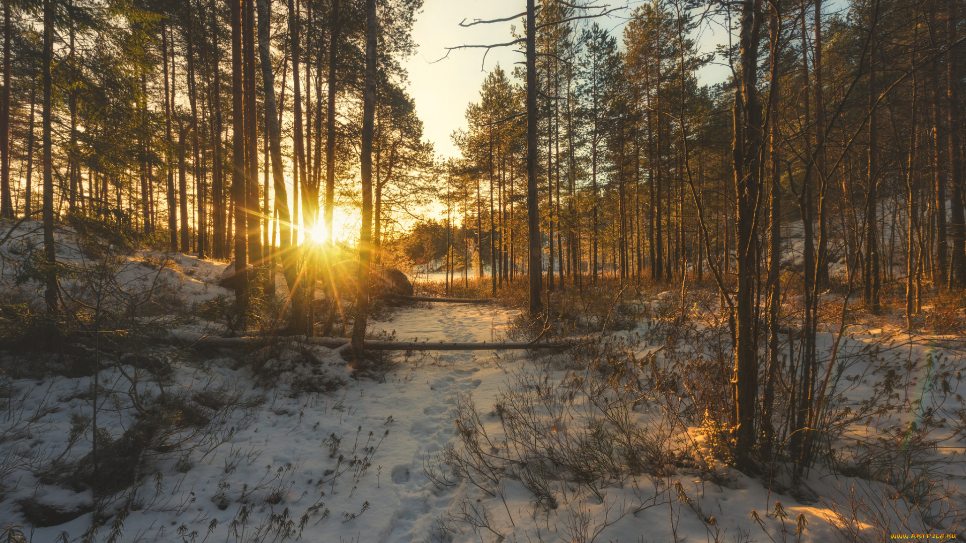 природа, зима, простор