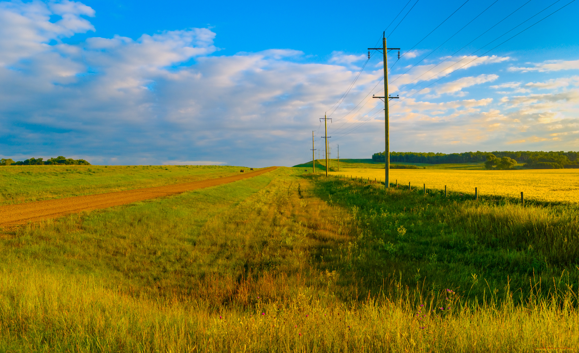 природа, пейзажи, простор