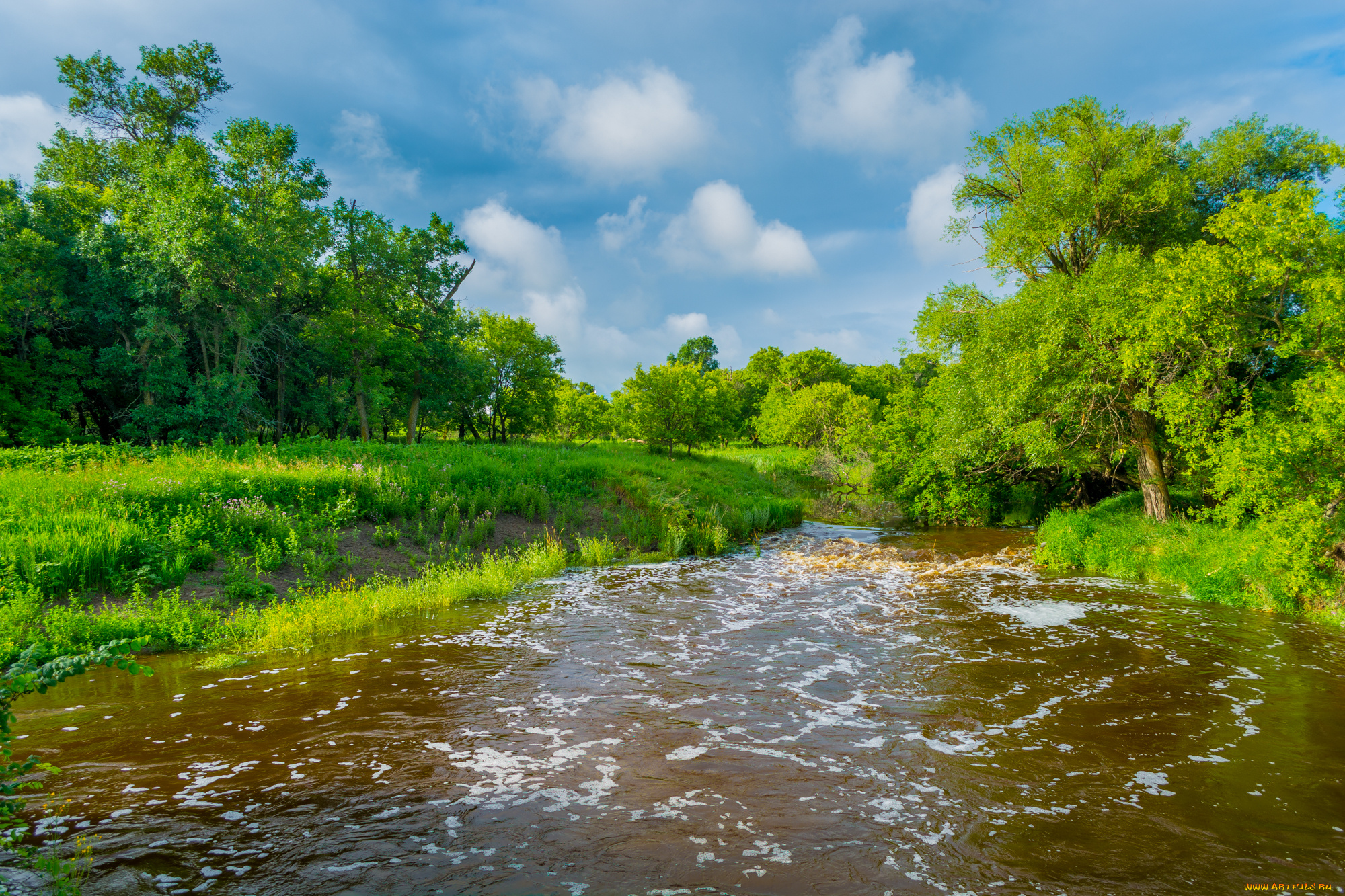 природа, реки, озера, простор