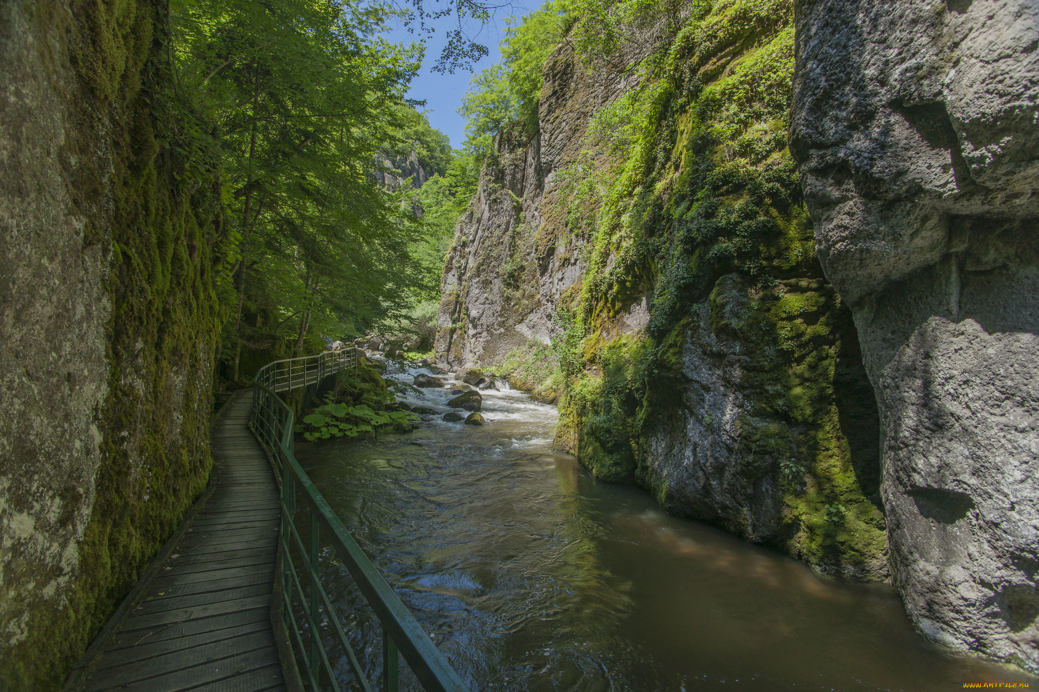 природа, реки, озера, простор