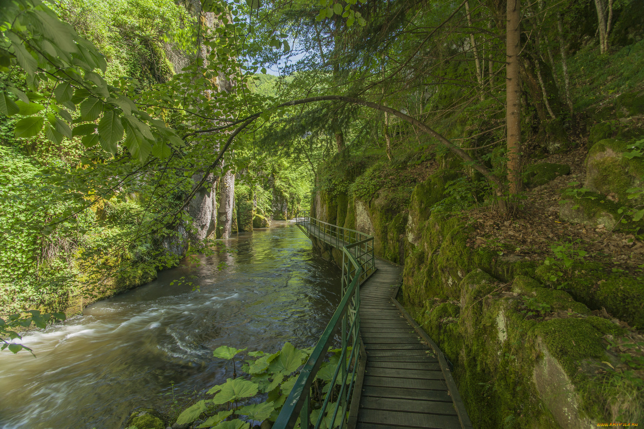 природа, реки, озера, простор