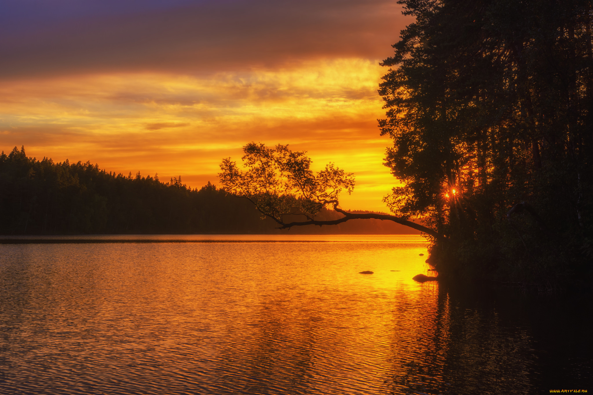 природа, восходы, закаты, простор