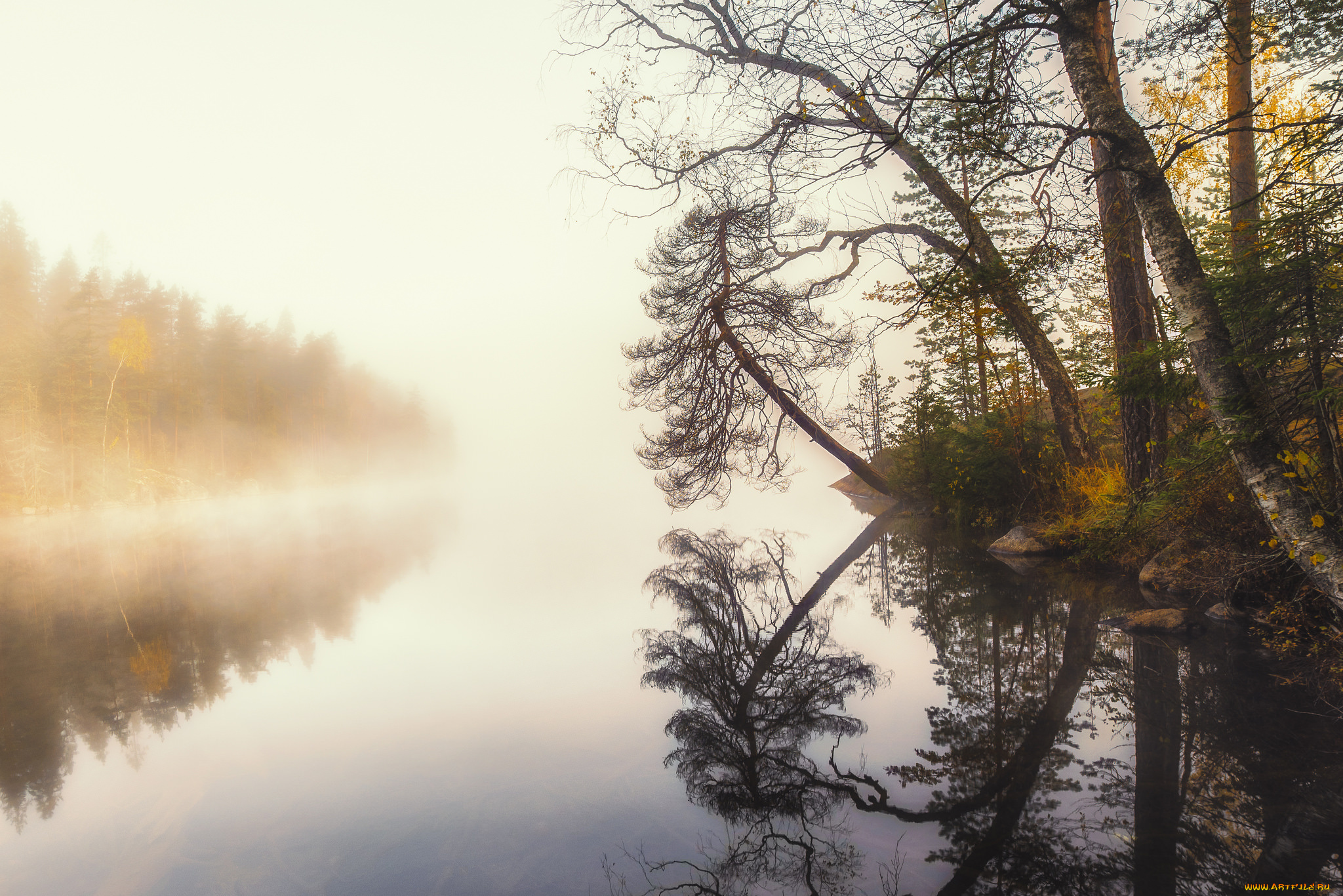 природа, реки, озера, простор