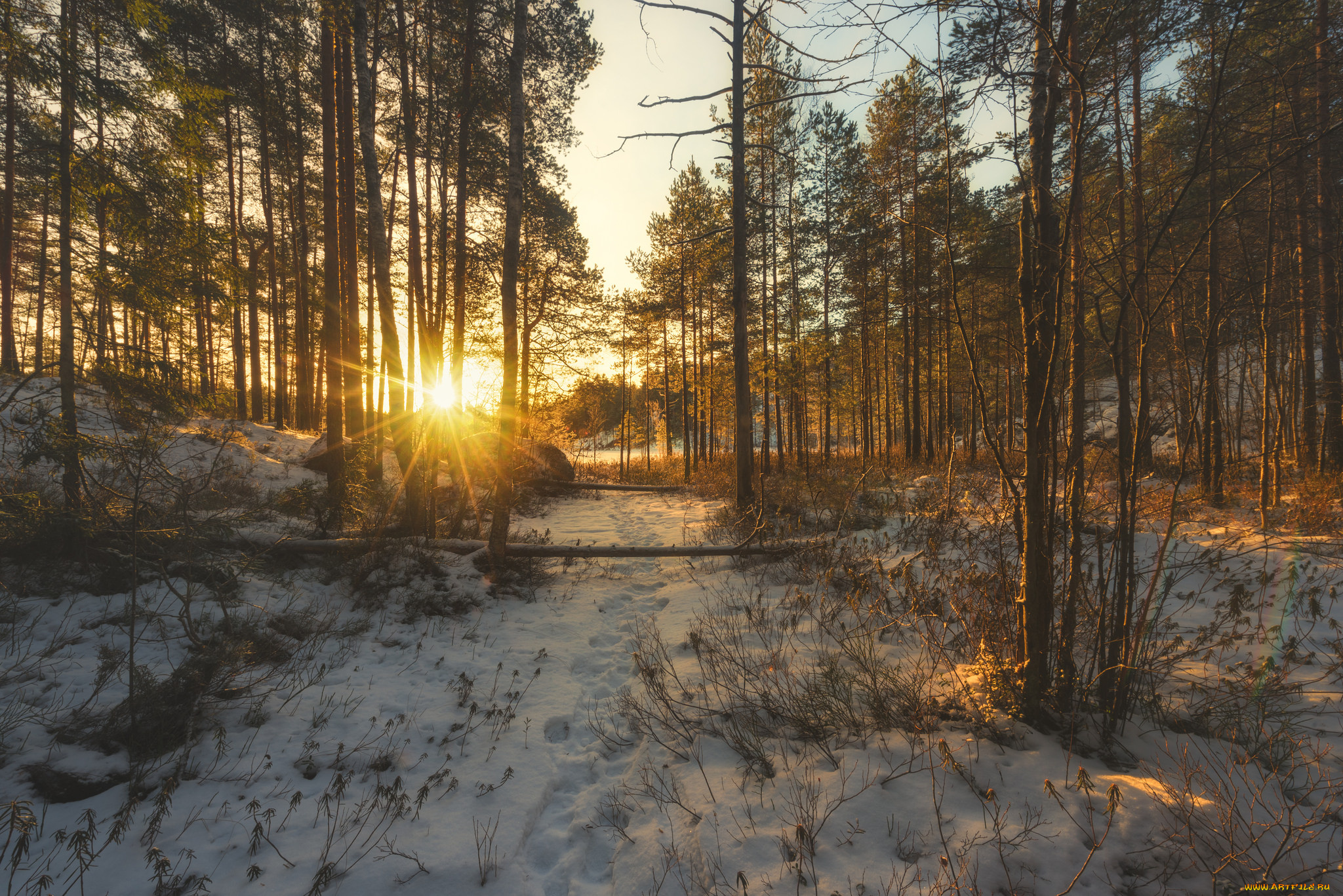 природа, зима, простор